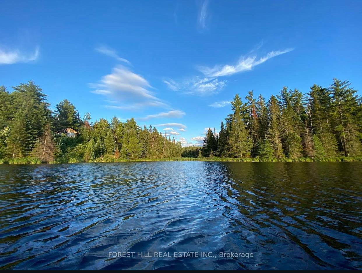 675 Dore Bay Road, North Algona Wilberforce