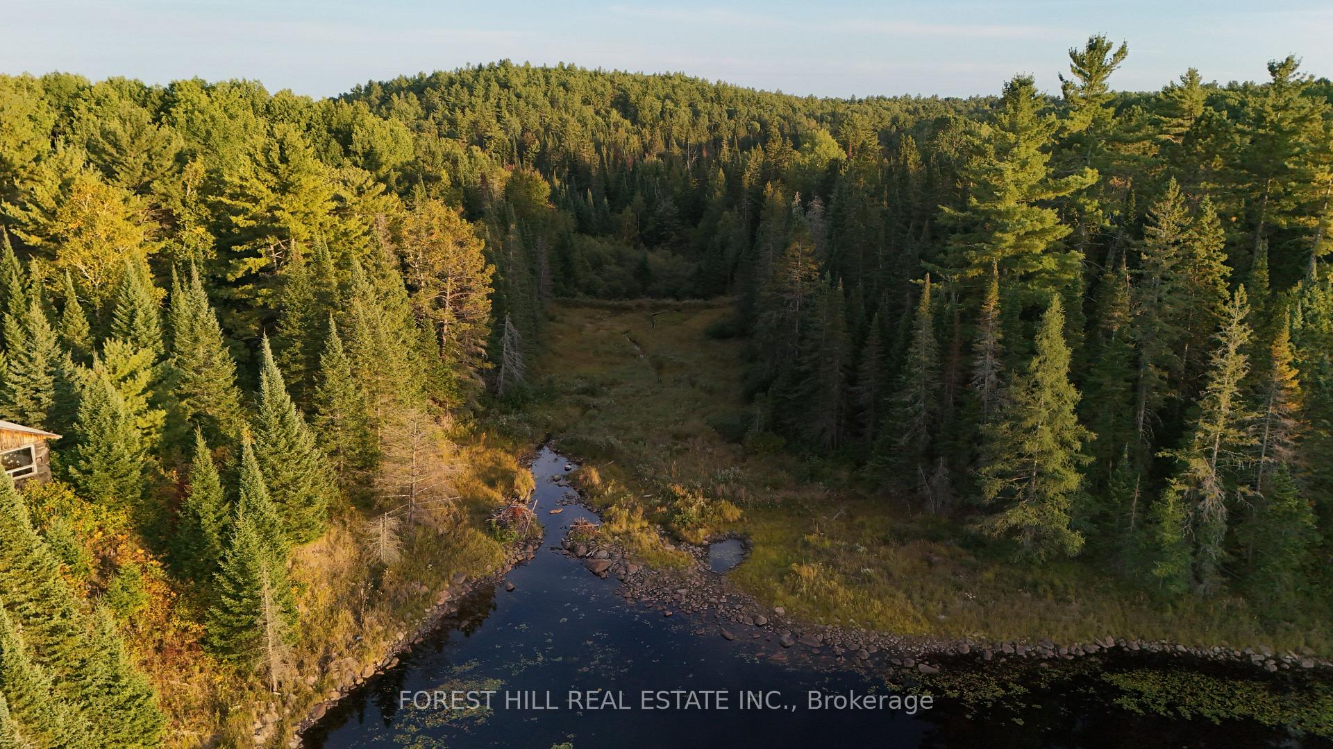 675 Dore Bay Road, North Algona Wilberforce