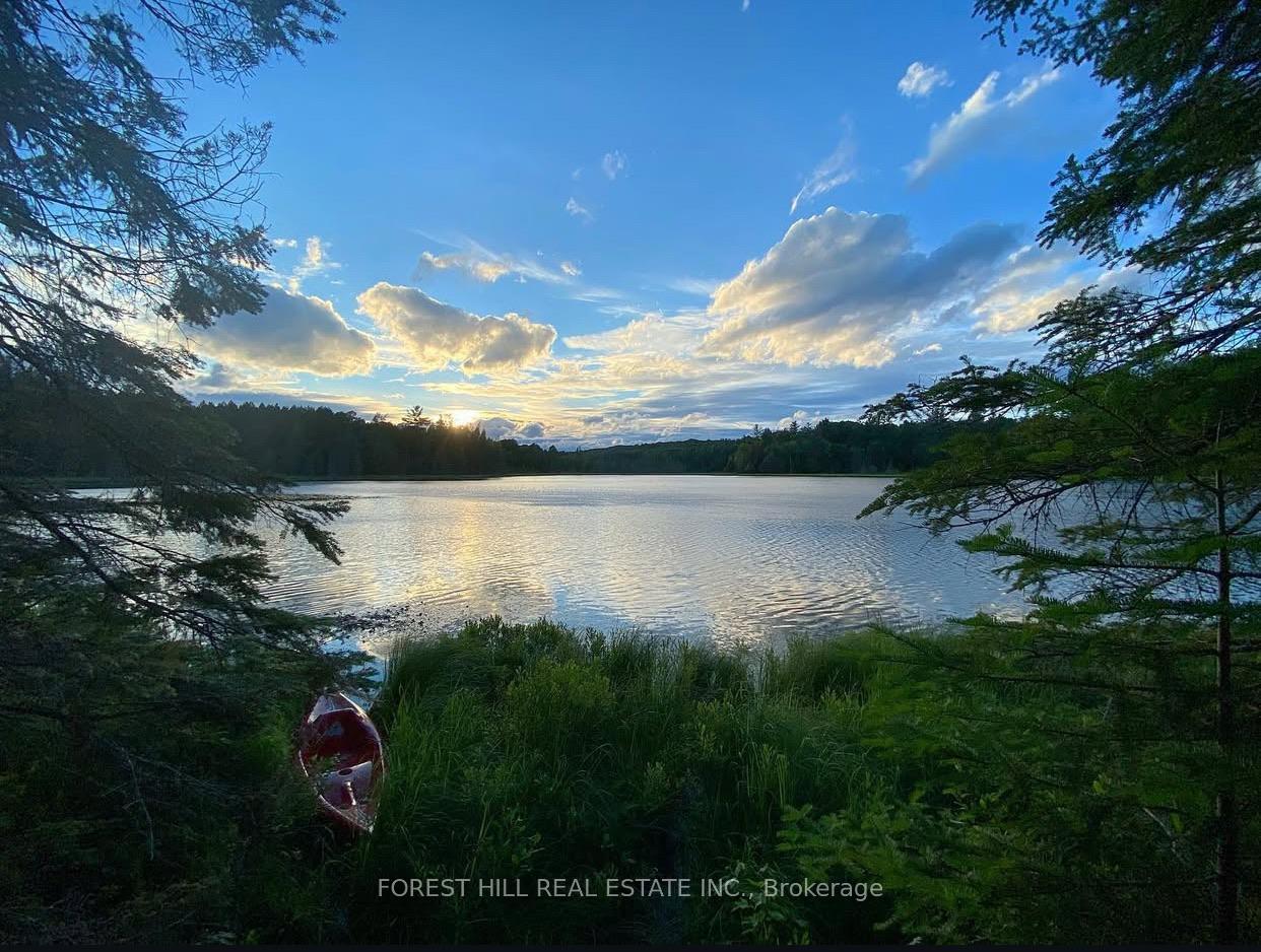 675 Dore Bay Road, North Algona Wilberforce