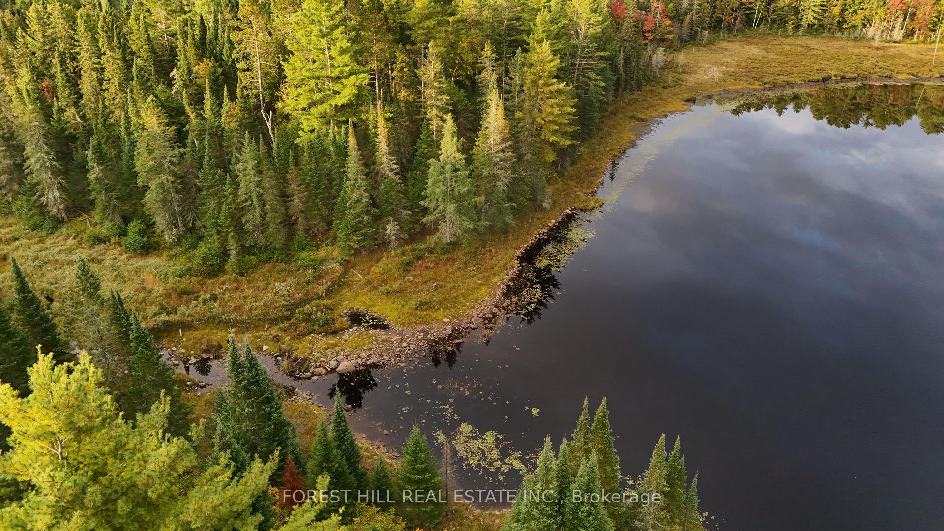 675 Dore Bay Road, North Algona Wilberforce