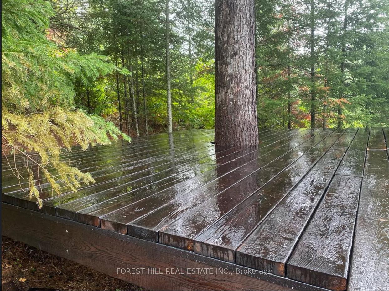 675 Dore Bay Road, North Algona Wilberforce