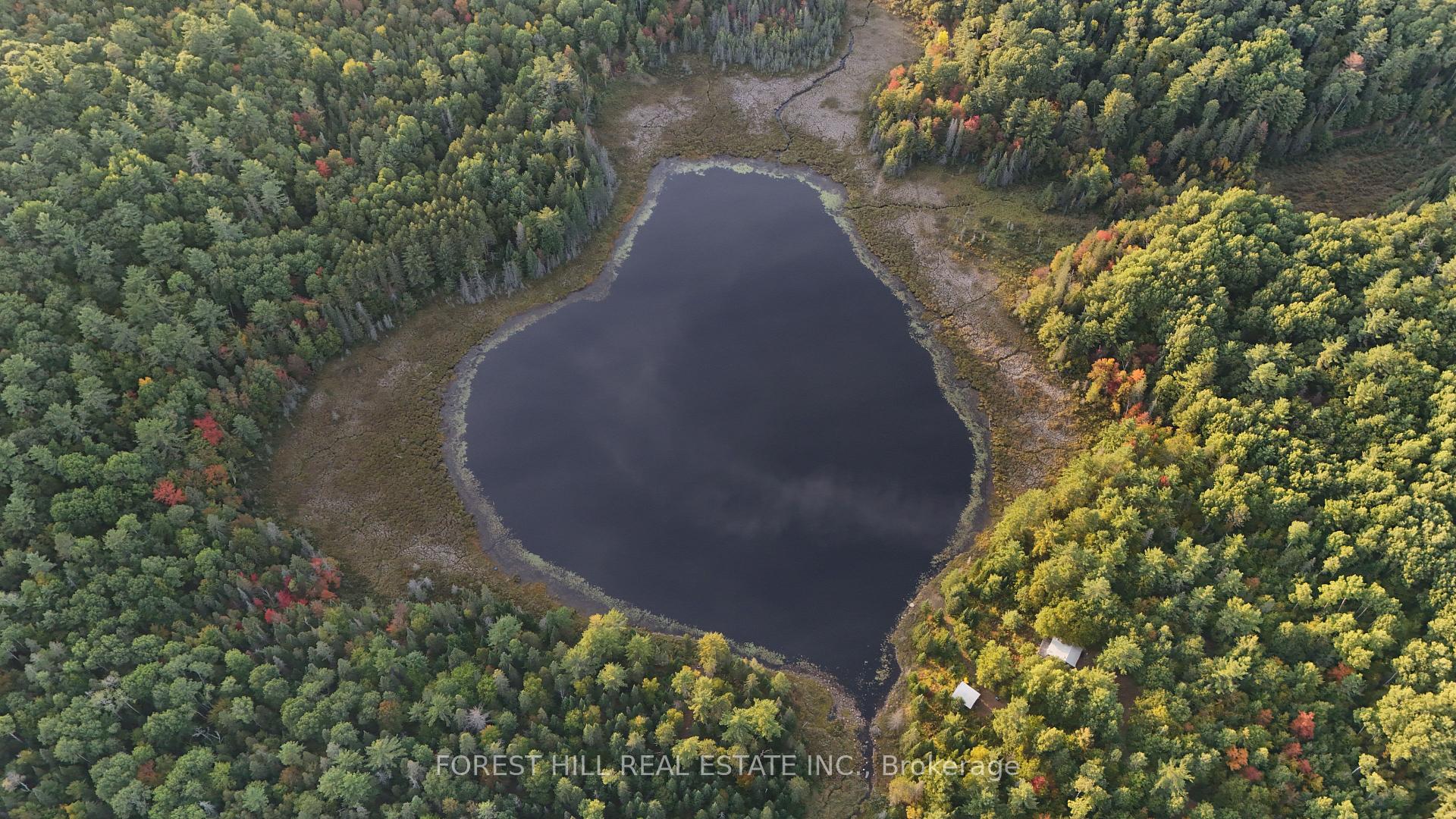 675 Dore Bay Road, North Algona Wilberforce