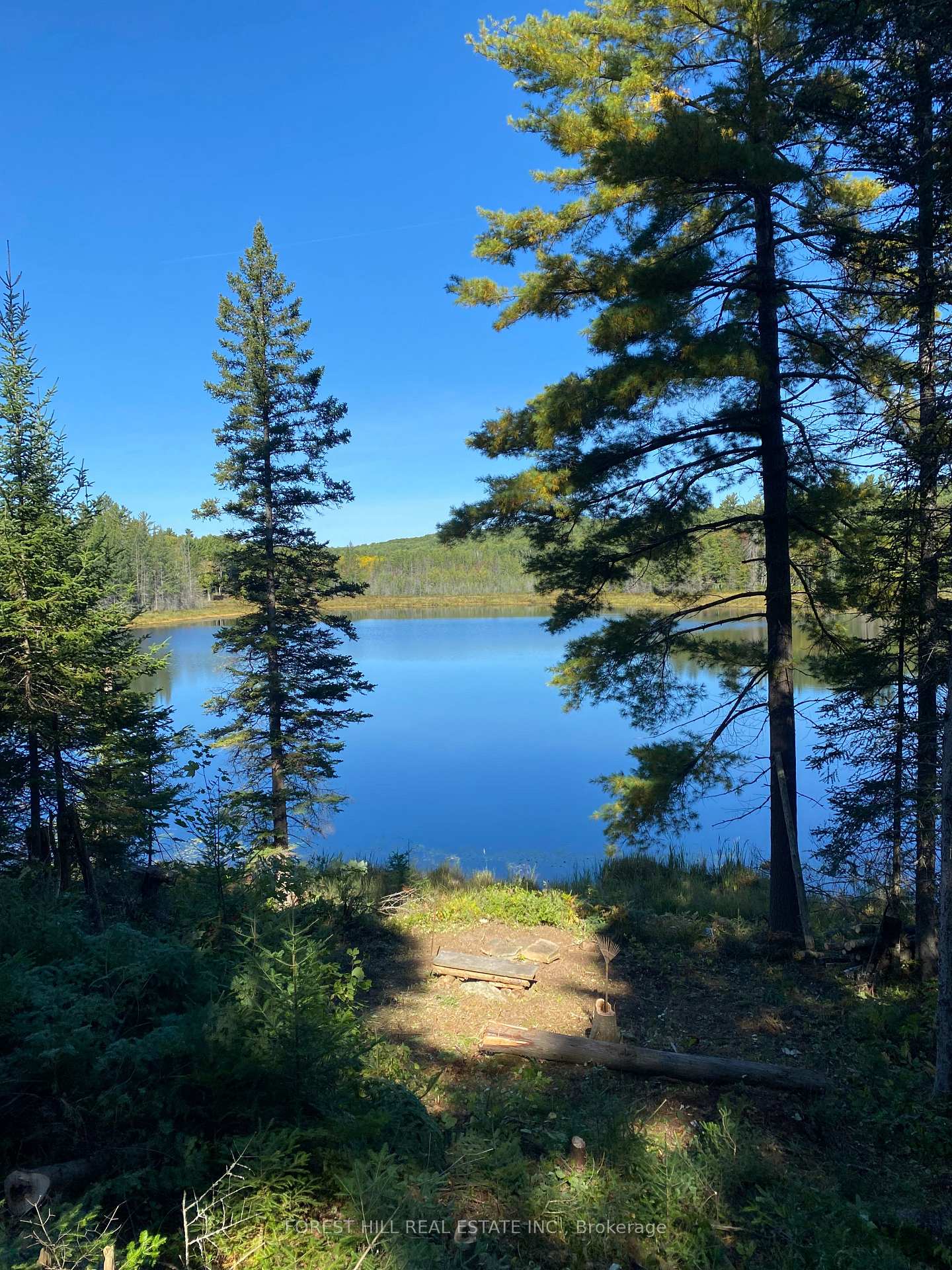 675 Dore Bay Road, North Algona Wilberforce