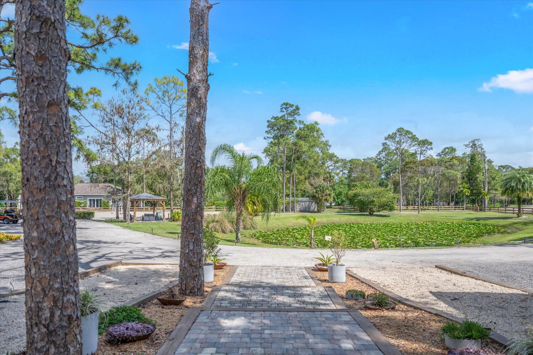 11459 Hawk Hollow