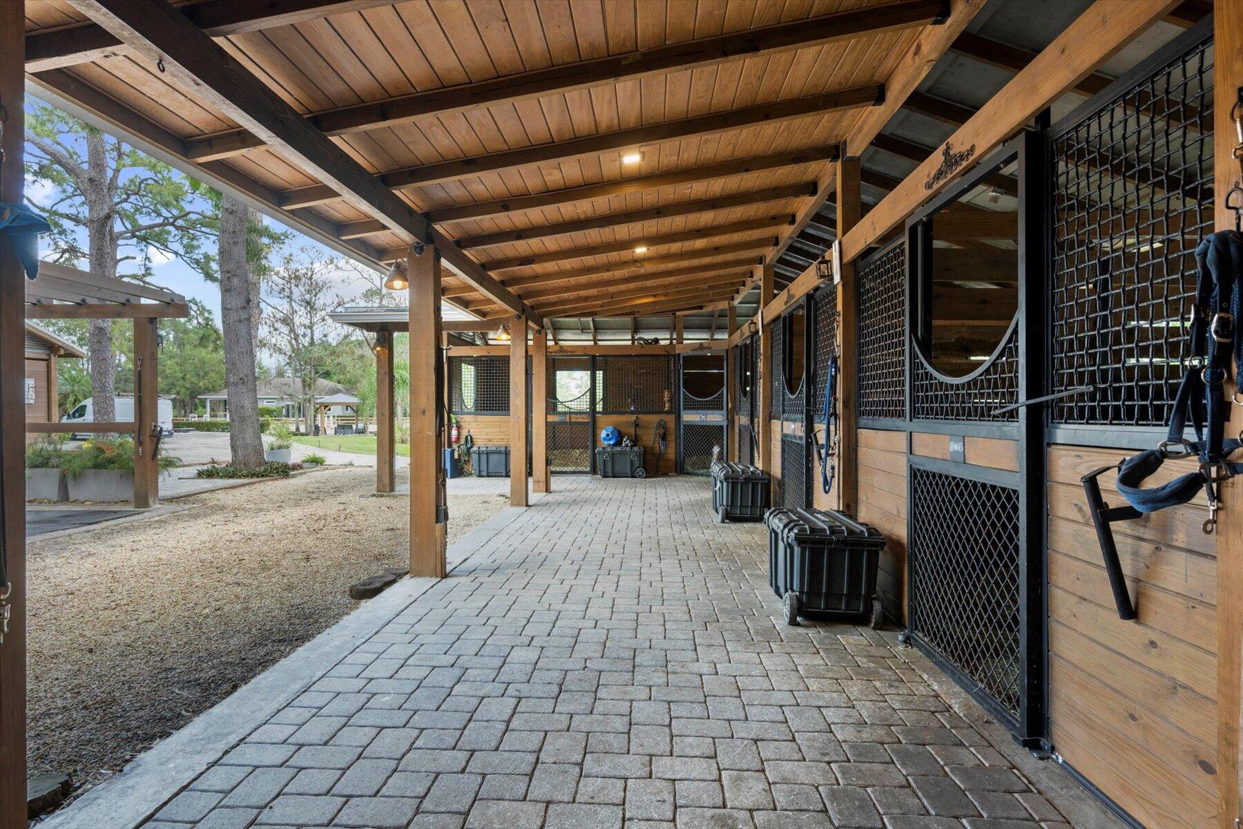 11459 Hawk Hollow