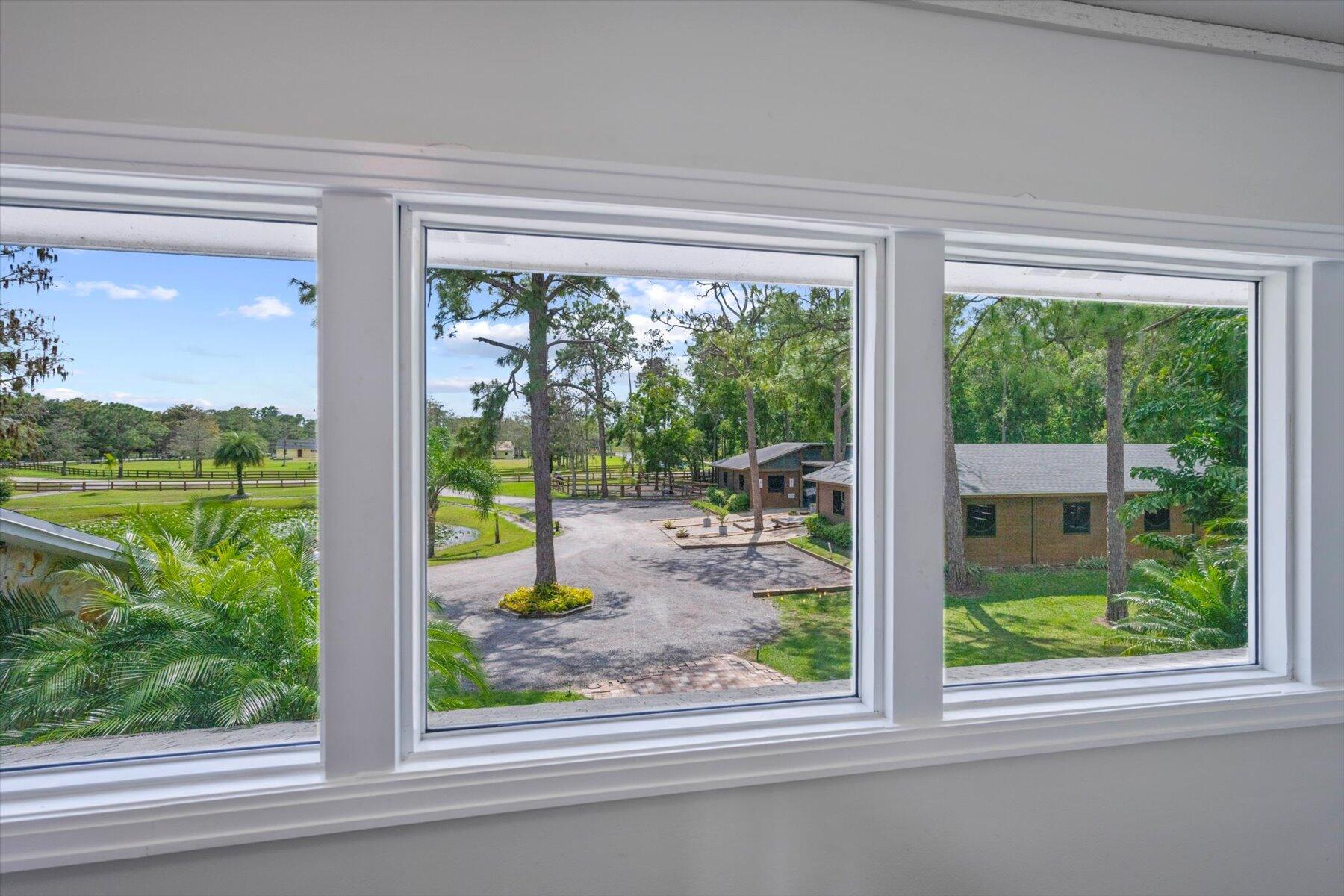 11459 Hawk Hollow