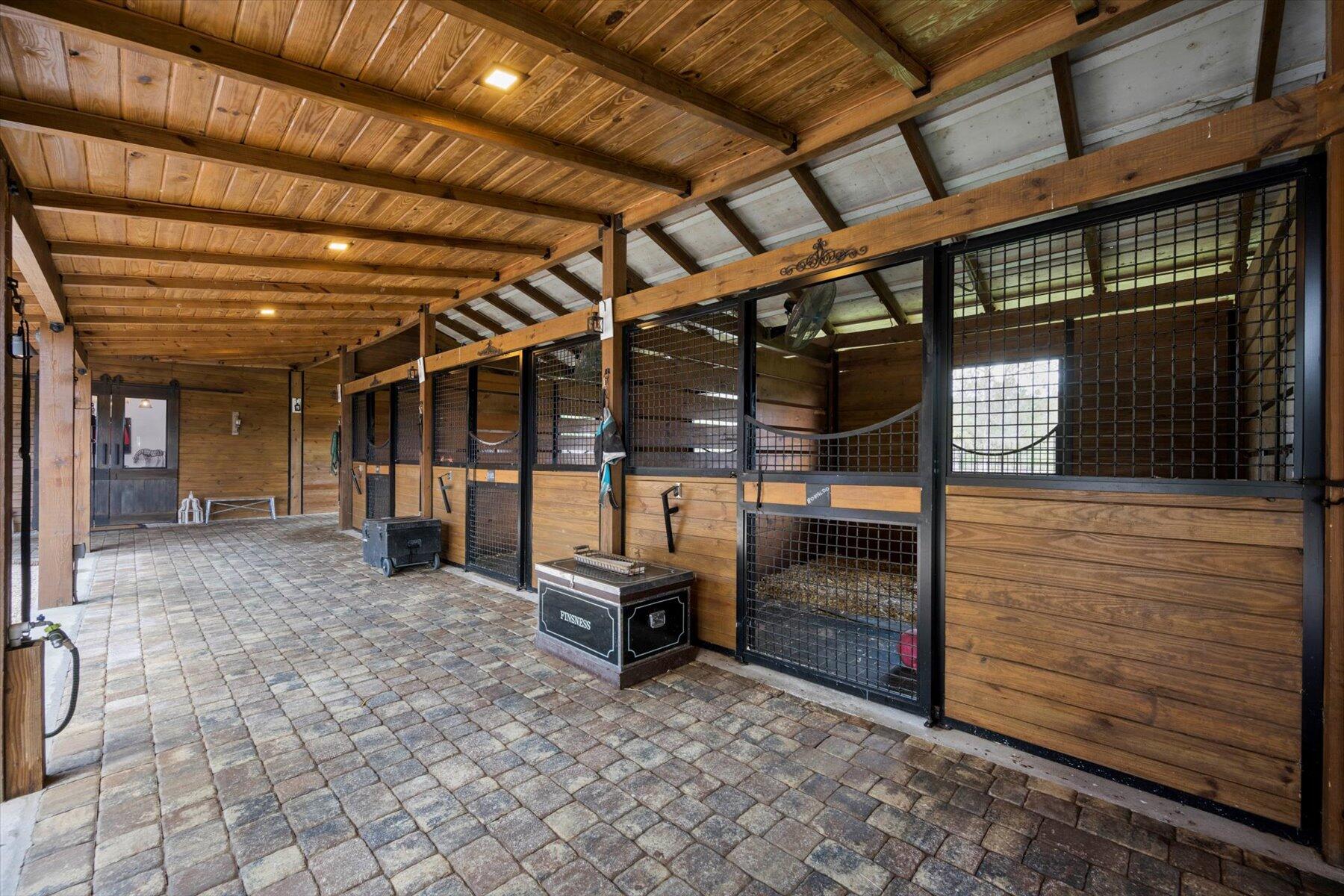 11459 Hawk Hollow
