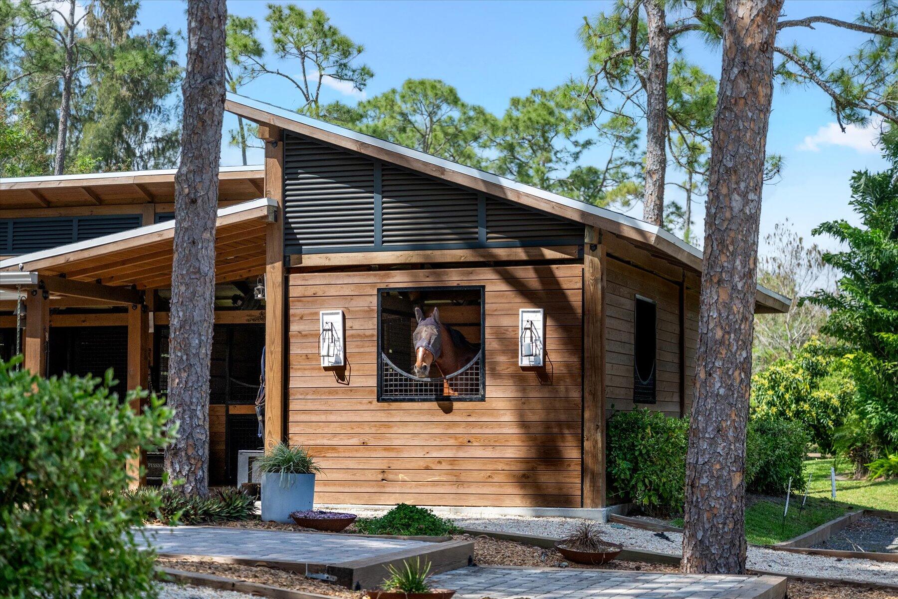 11459 Hawk Hollow