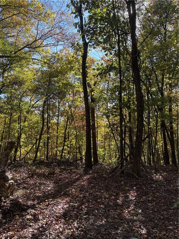 1420 Sunset Trail