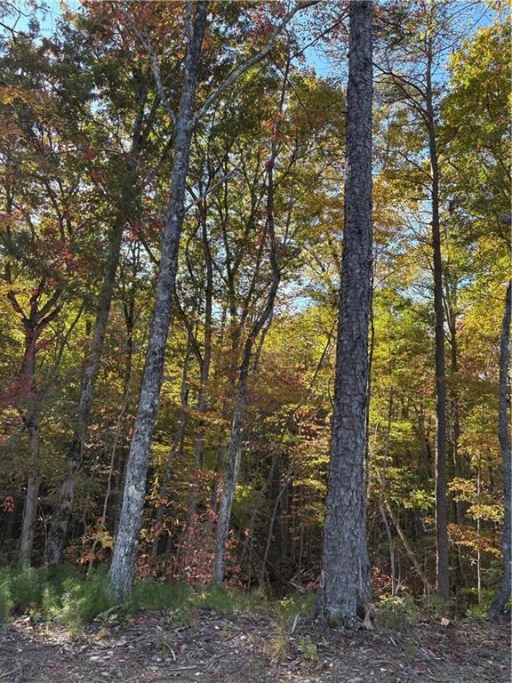 1420 Sunset Trail