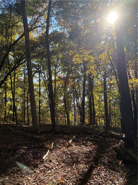 1420 Sunset Trail