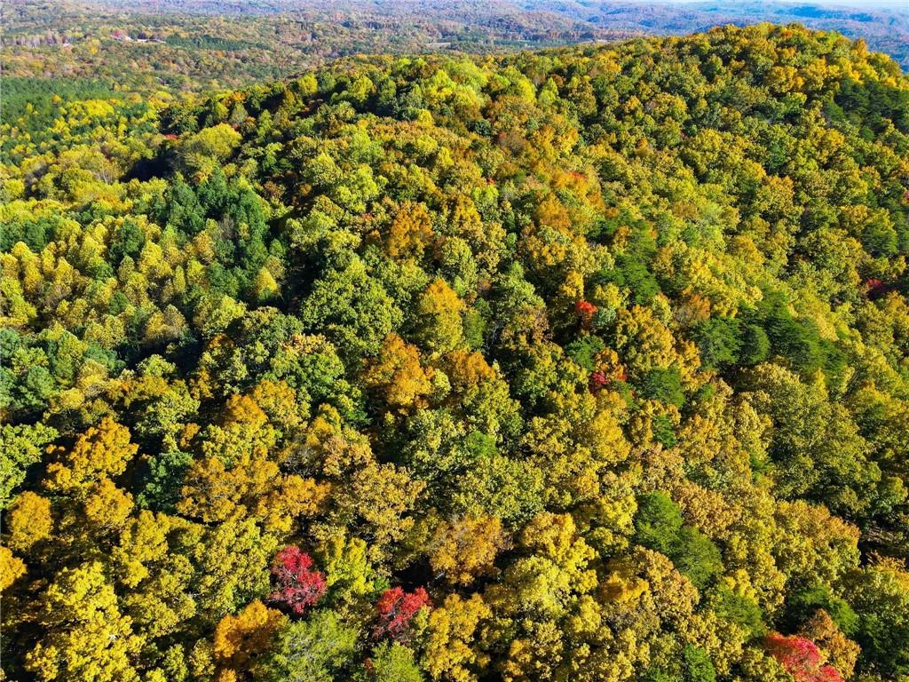 1420 Sunset Trail
