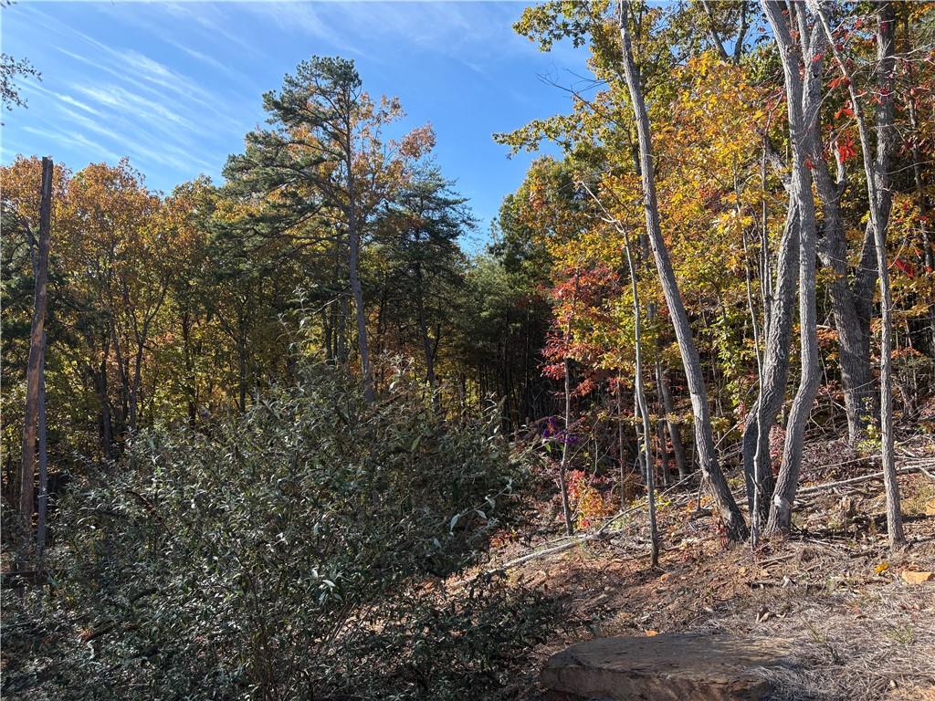 1420 Sunset Trail