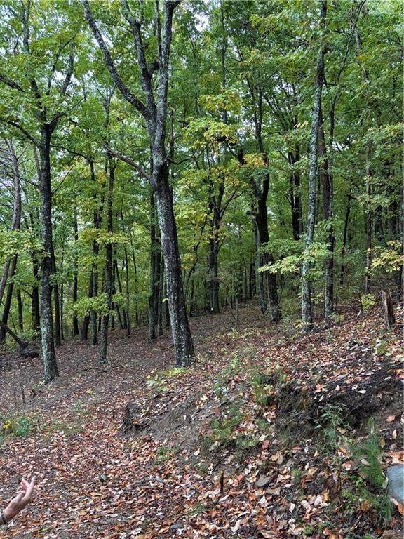 1420 Sunset Trail