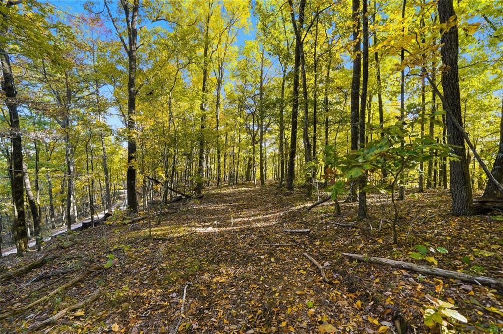 1420 Sunset Trail