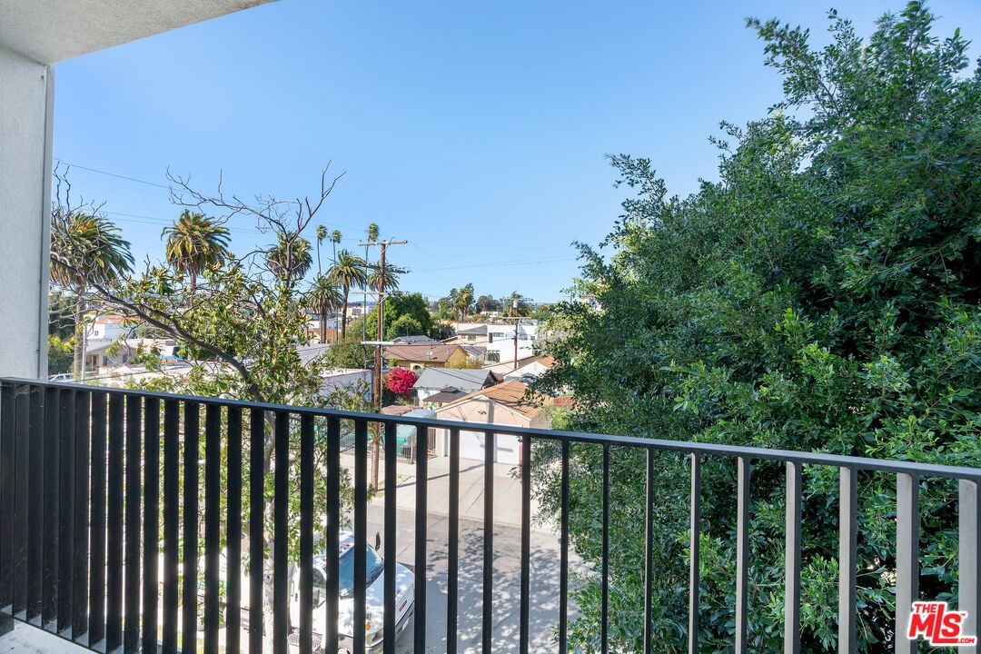 Balcony view over a Los Angeles residential street, framed by leafy trees and palm trees.