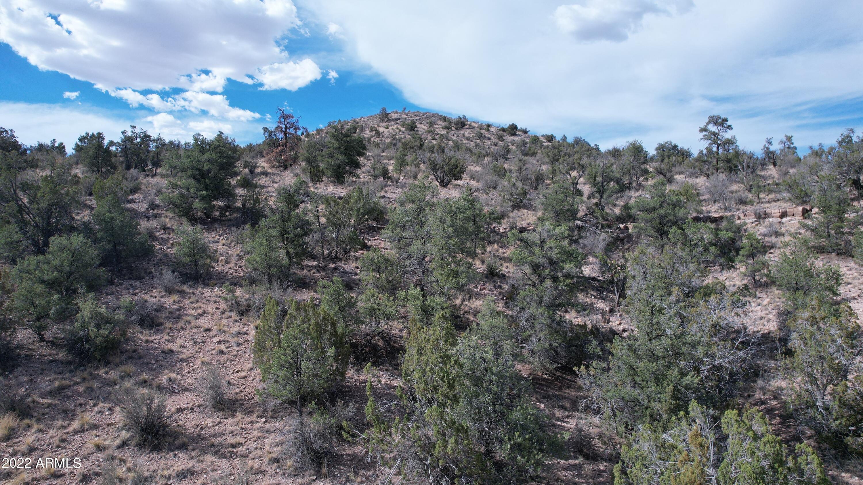52471 N CAMINO GATO -- Unit: 2099