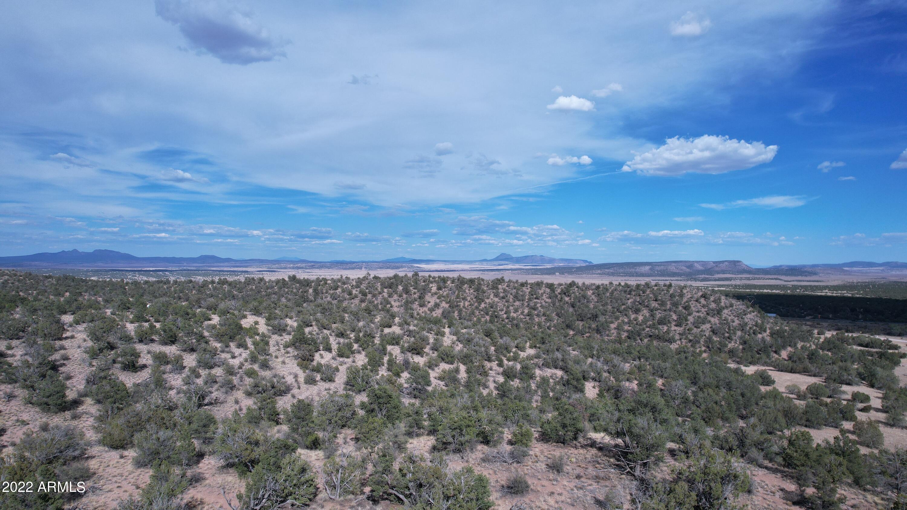 52471 N CAMINO GATO -- Unit: 2099