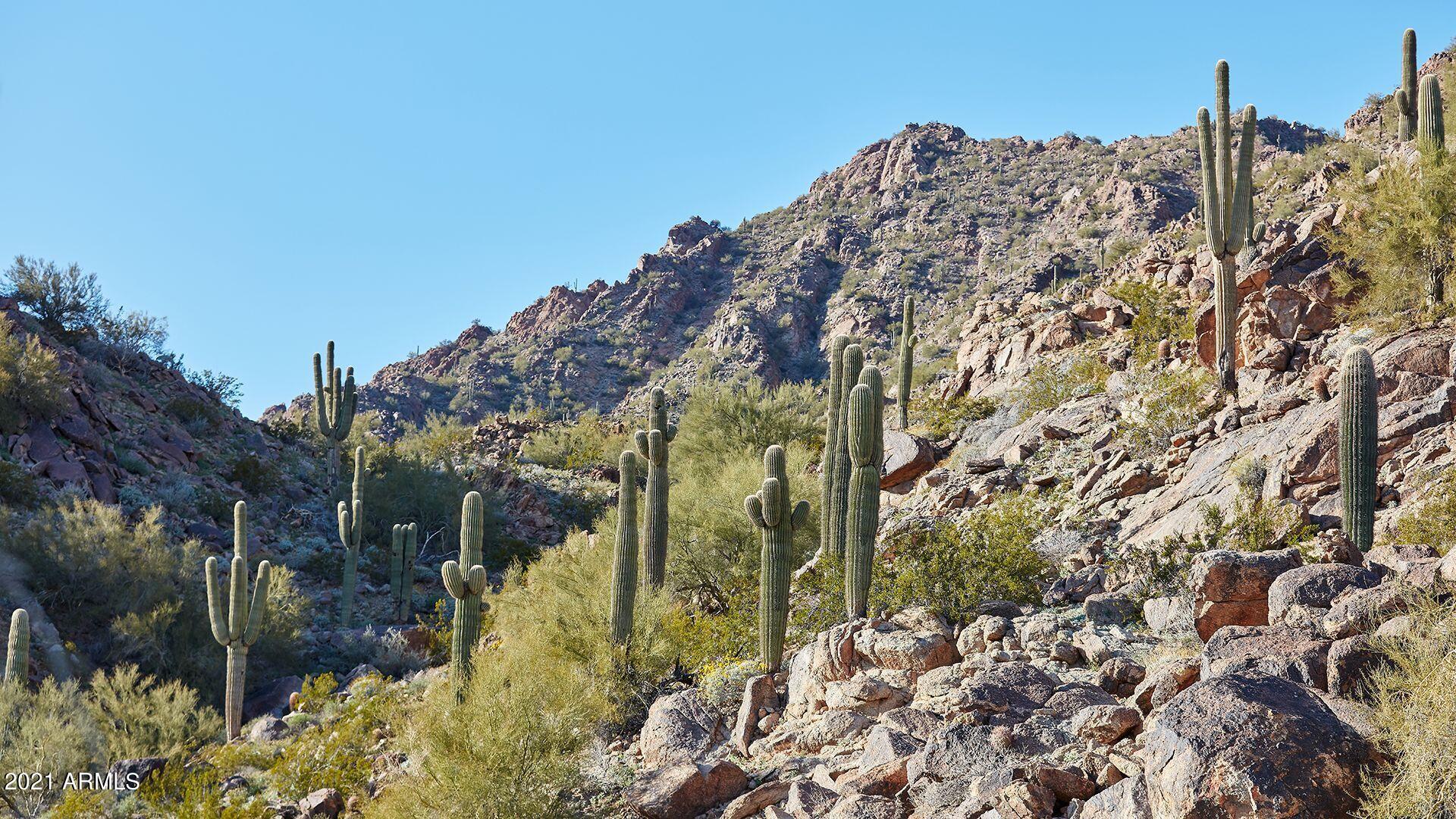 5000 E Camelback Ridge Road Unit: 101