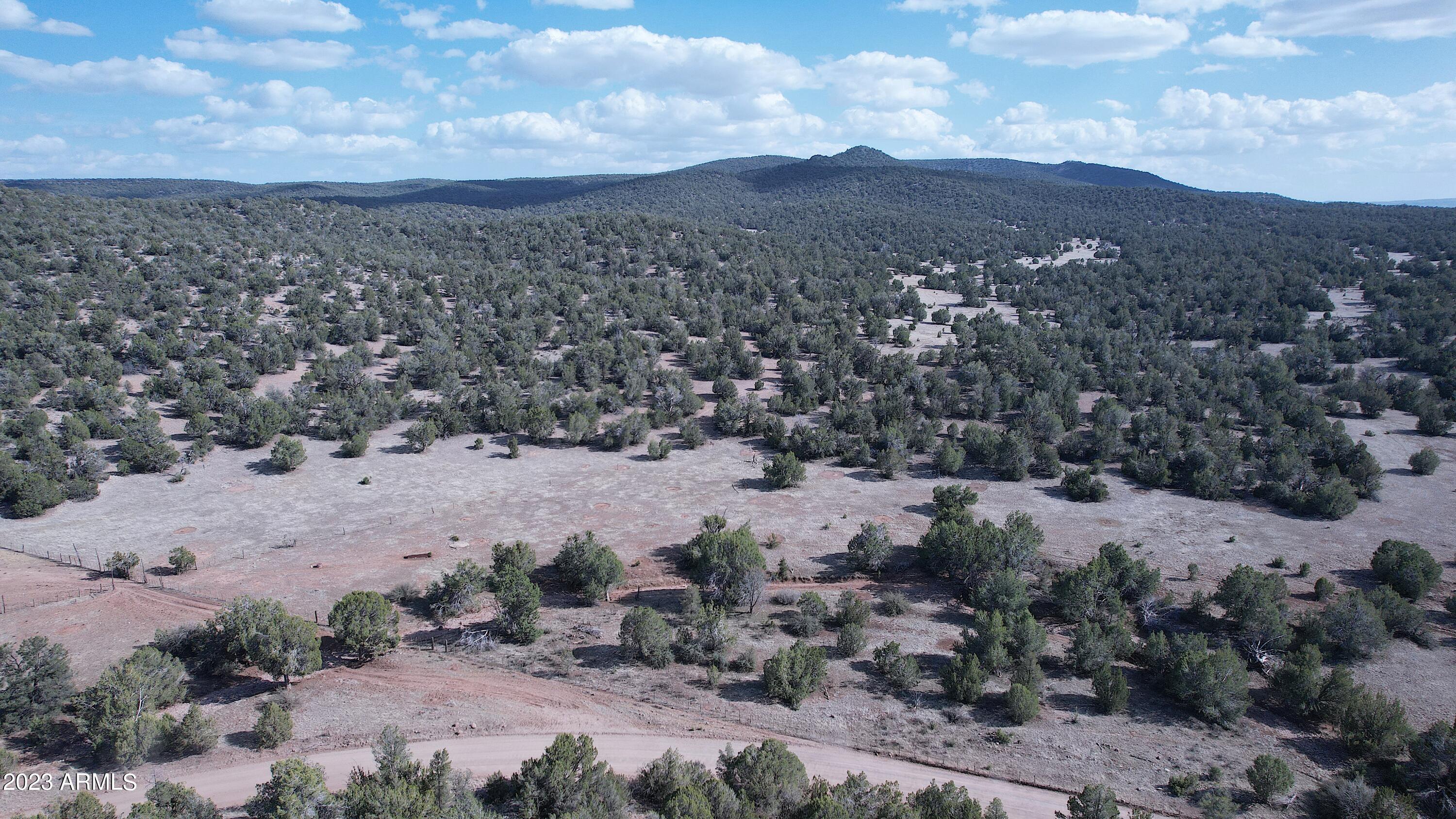 42225 N HONEY BEAR Street