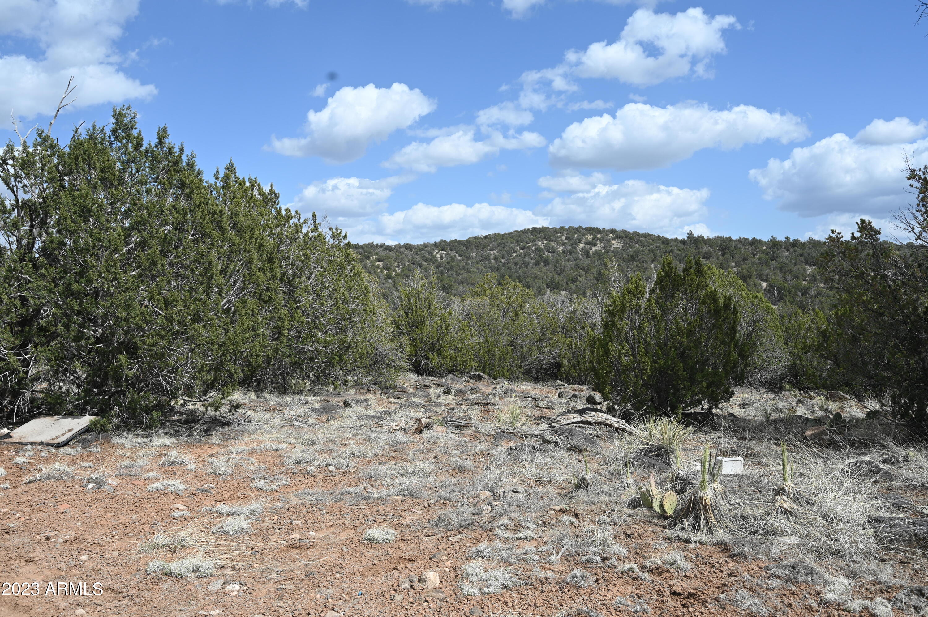 42225 N HONEY BEAR Street