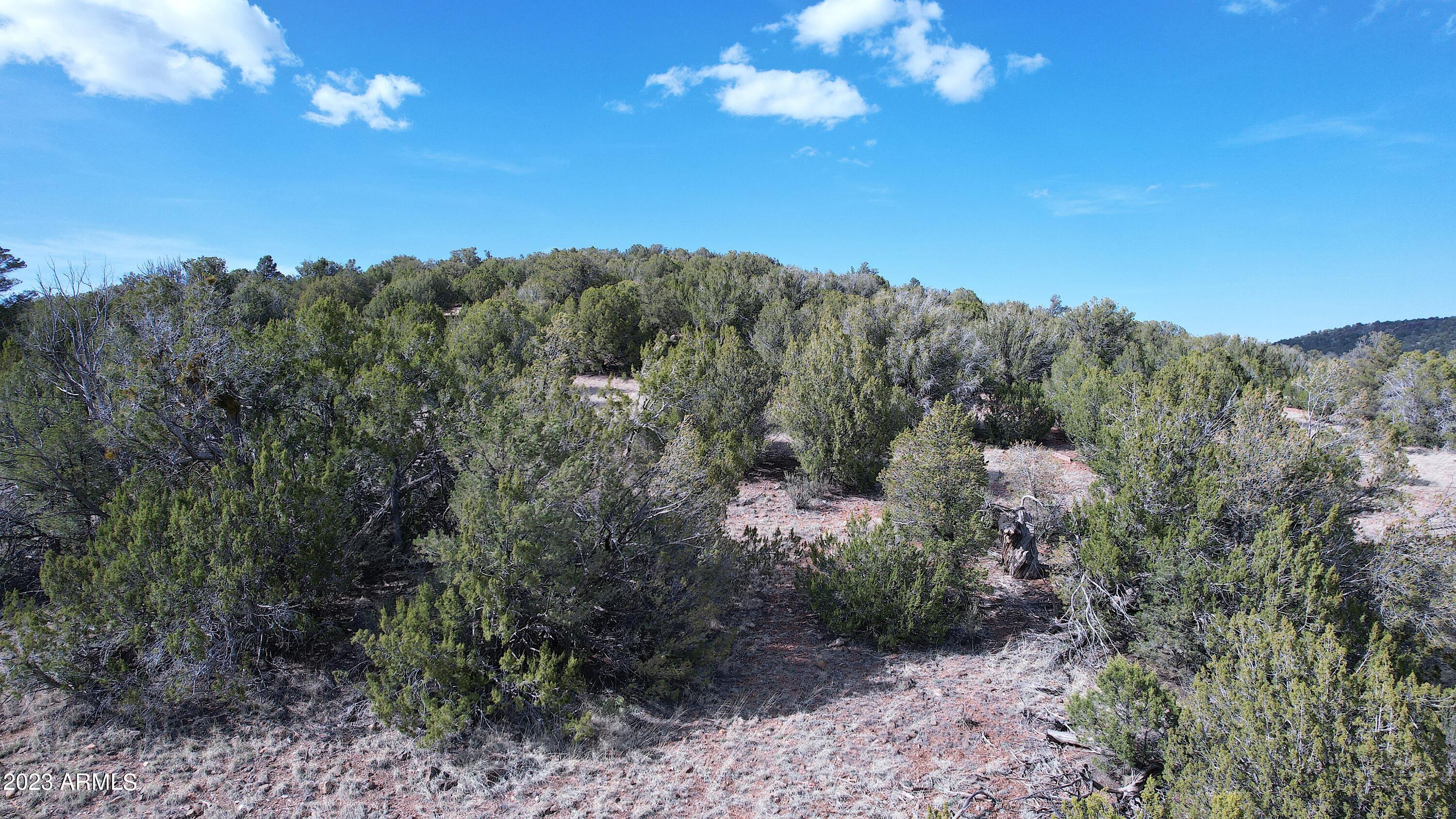 42225 N HONEY BEAR Street