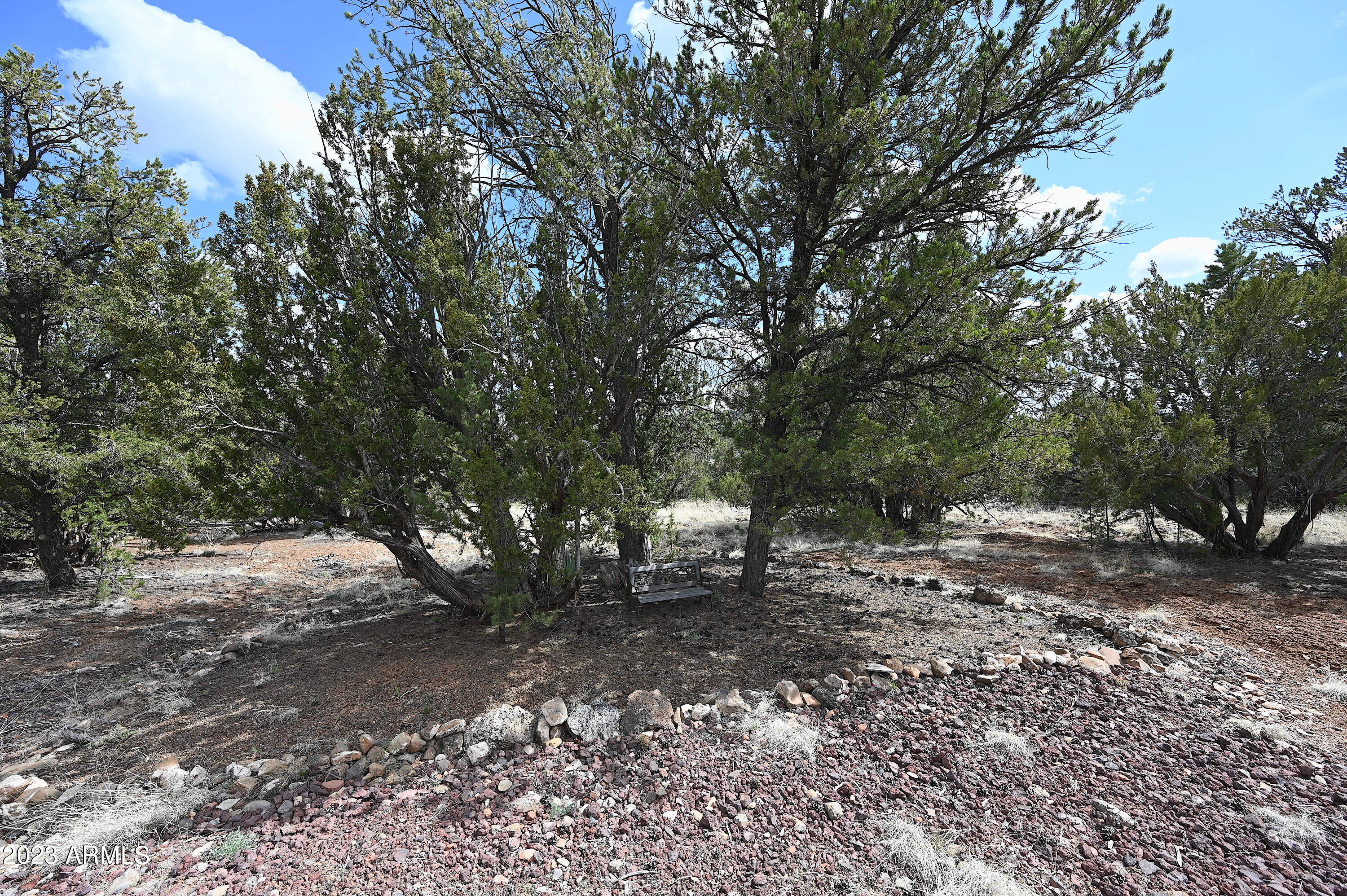 42225 N HONEY BEAR Street