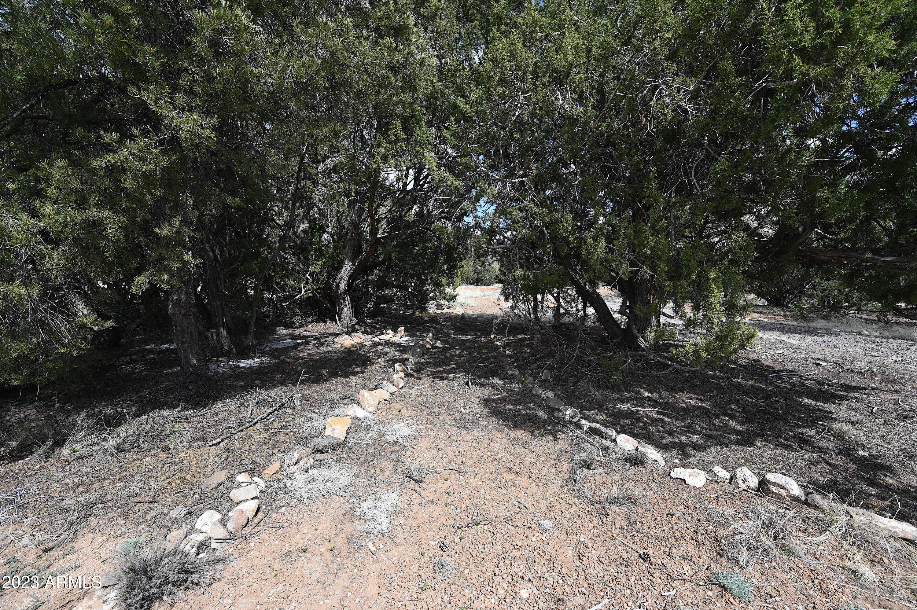 42225 N HONEY BEAR Street