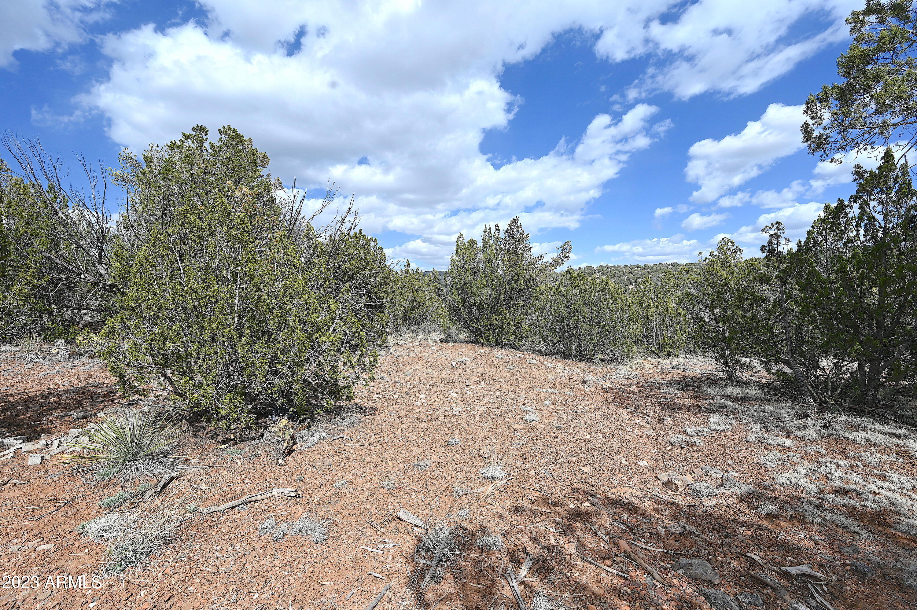 42225 N HONEY BEAR Street