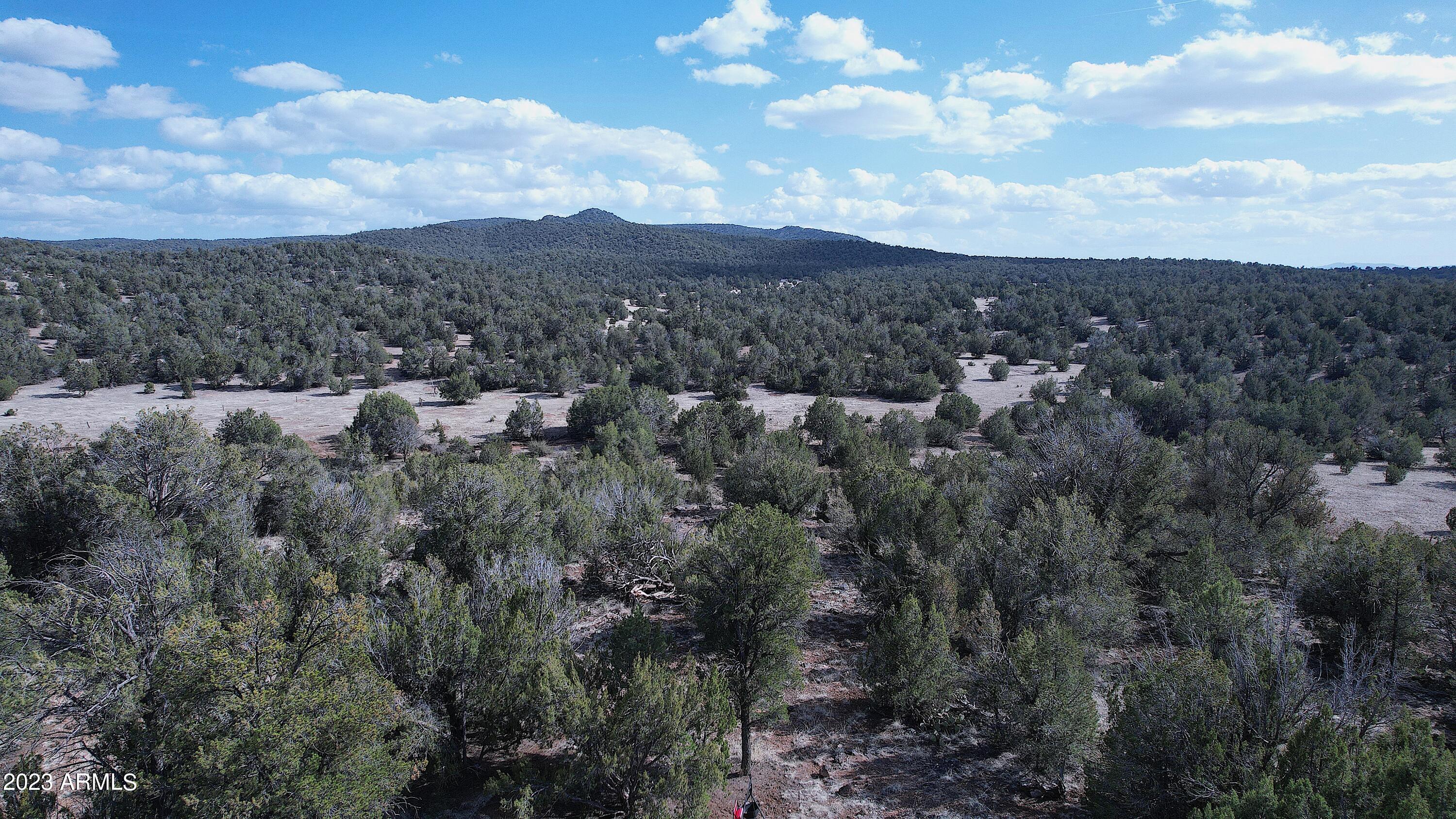 42225 N HONEY BEAR Street