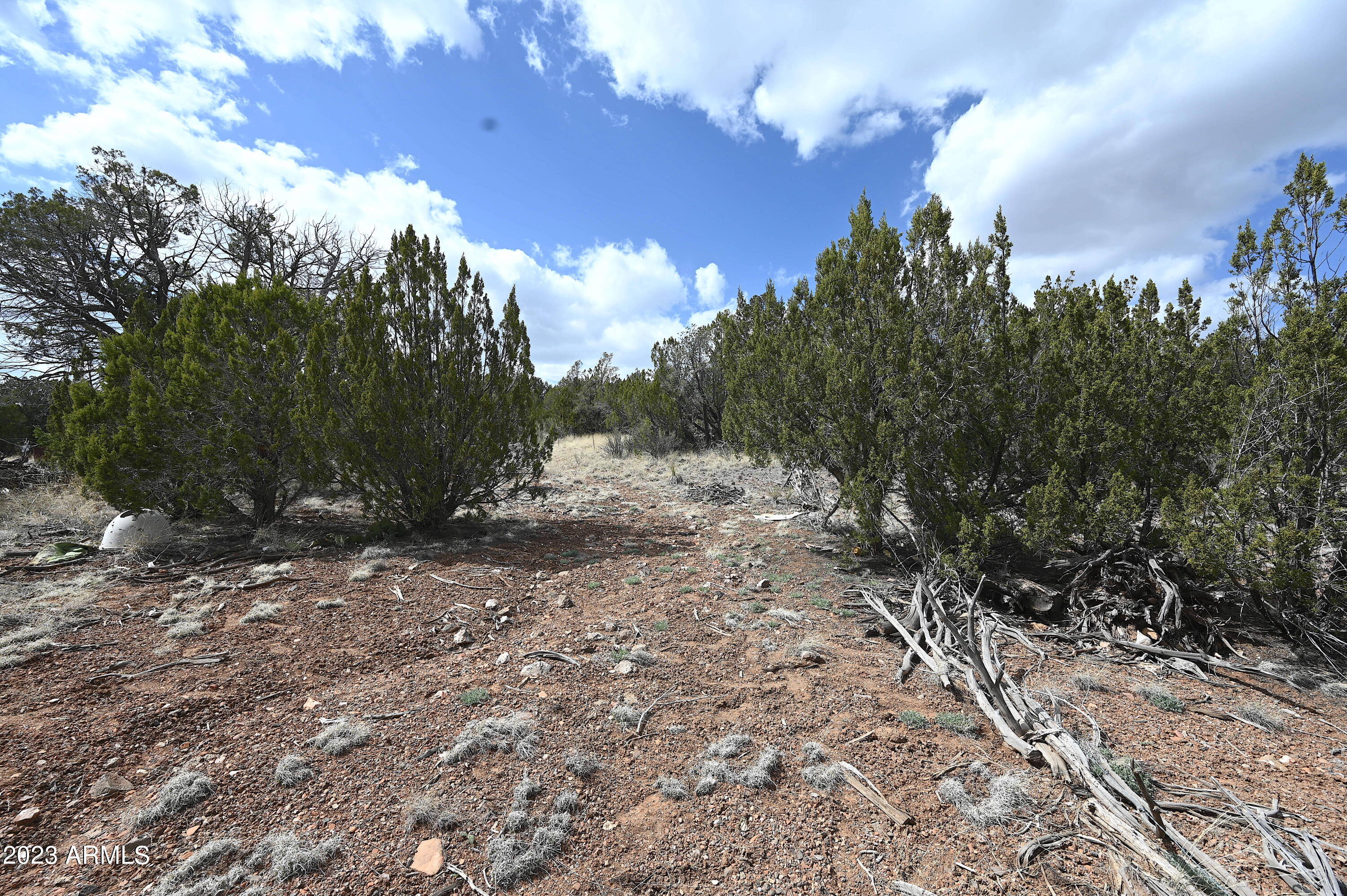 42225 N HONEY BEAR Street