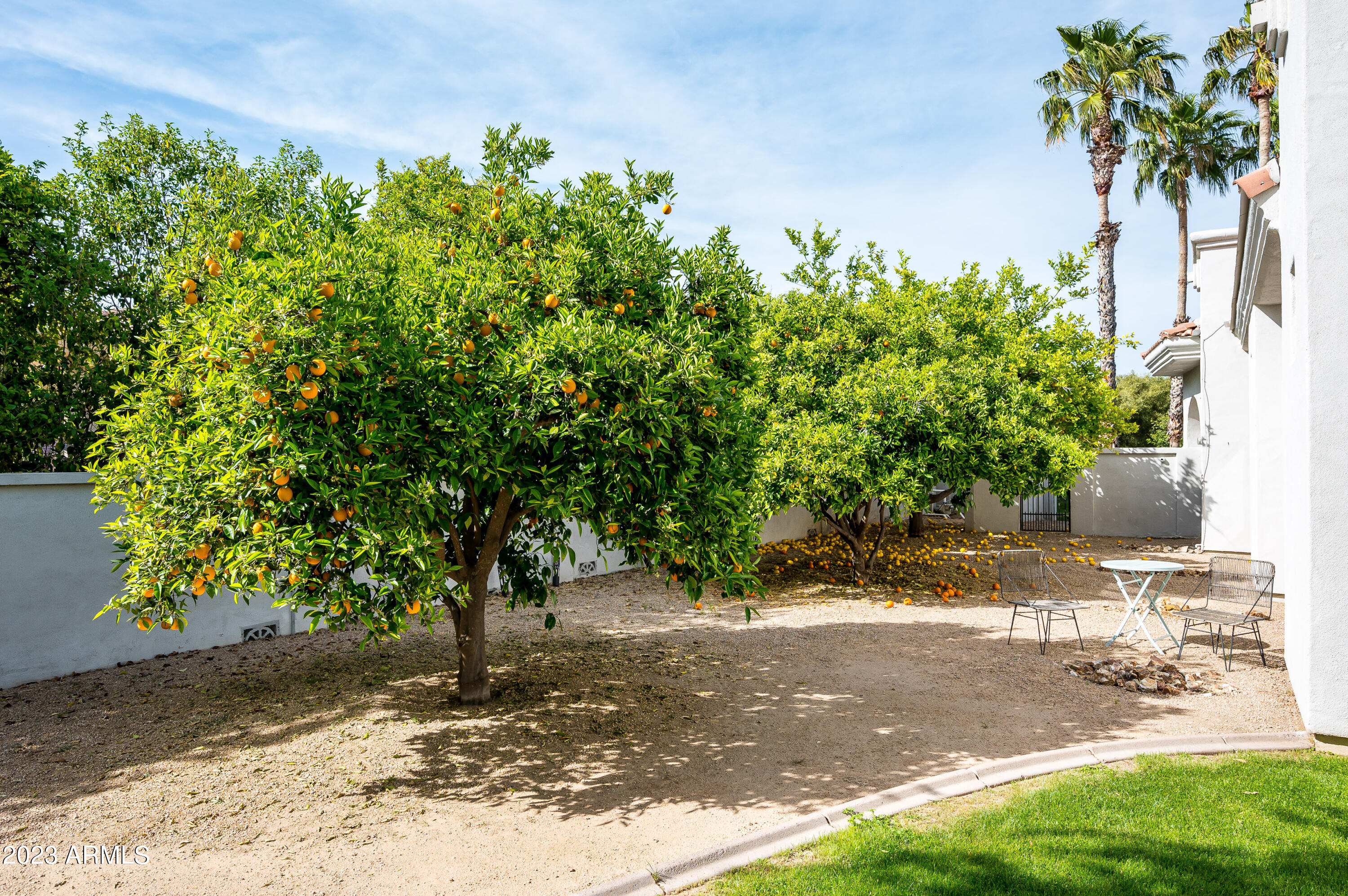 6649 E BERNEIL Drive