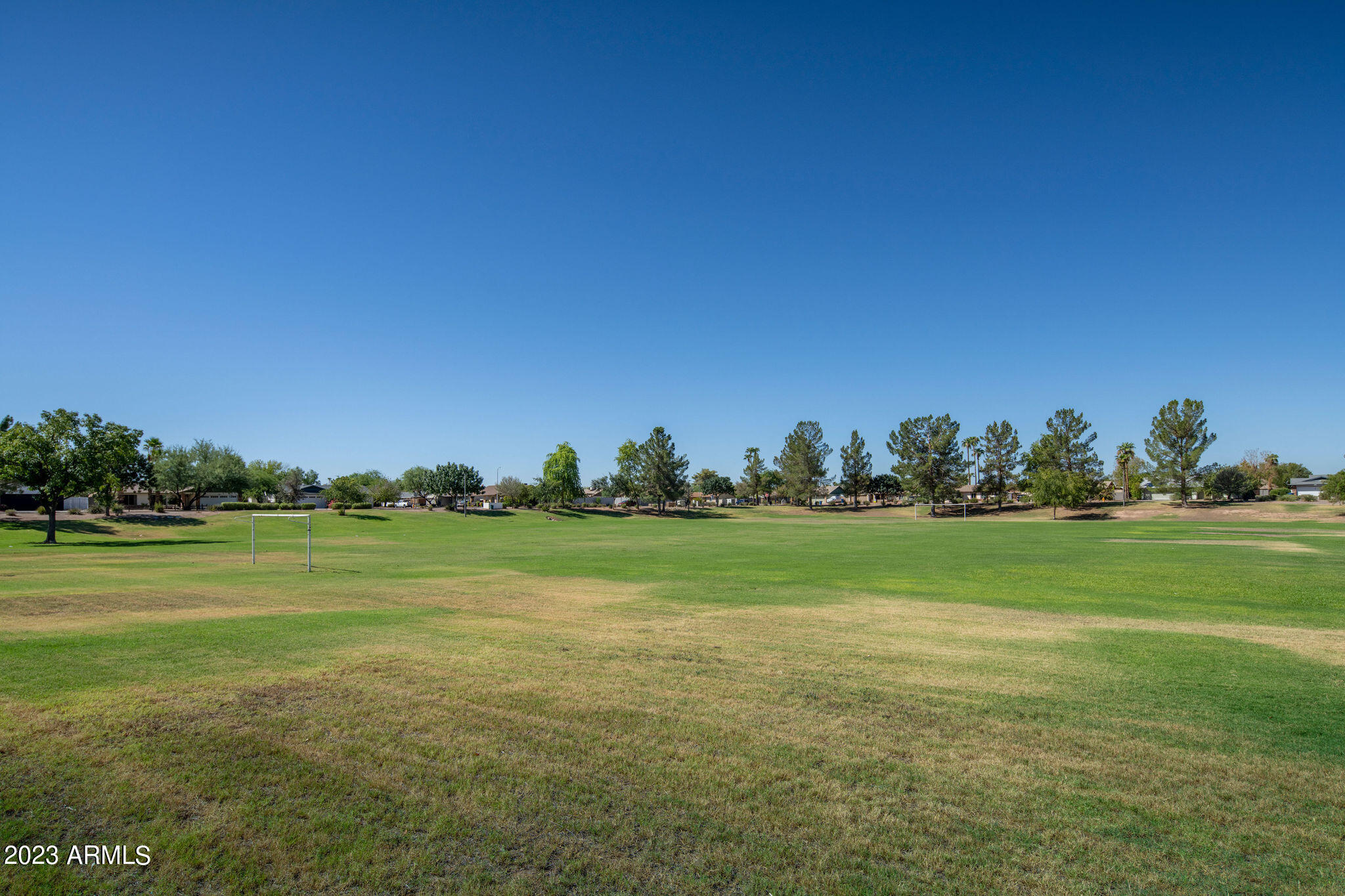 519 W PALOMINO Drive
