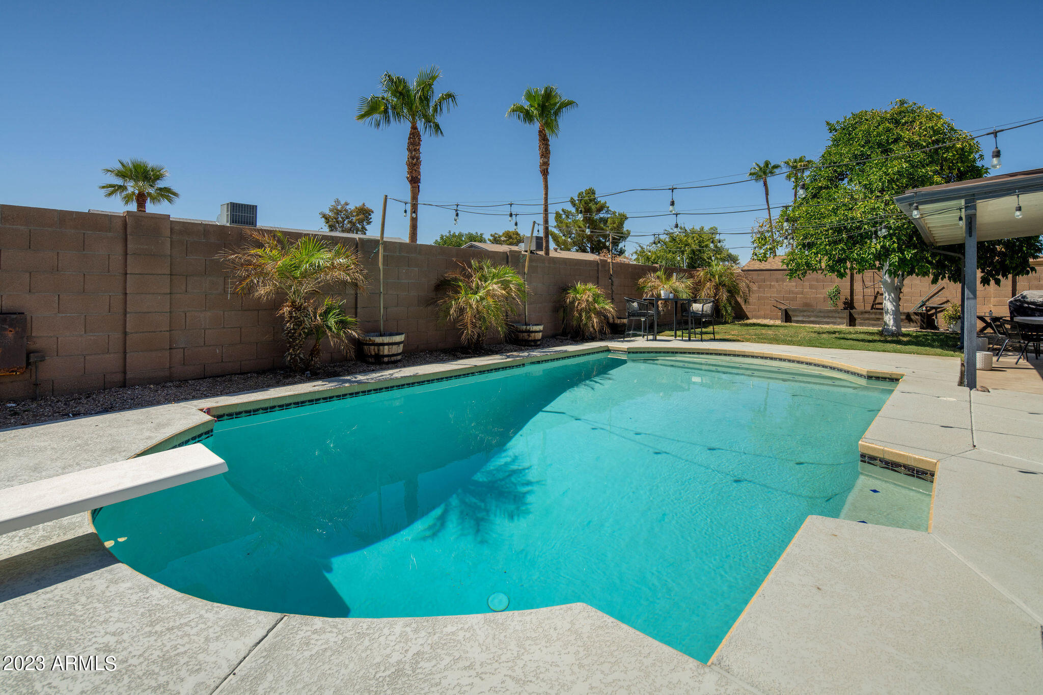 519 W PALOMINO Drive