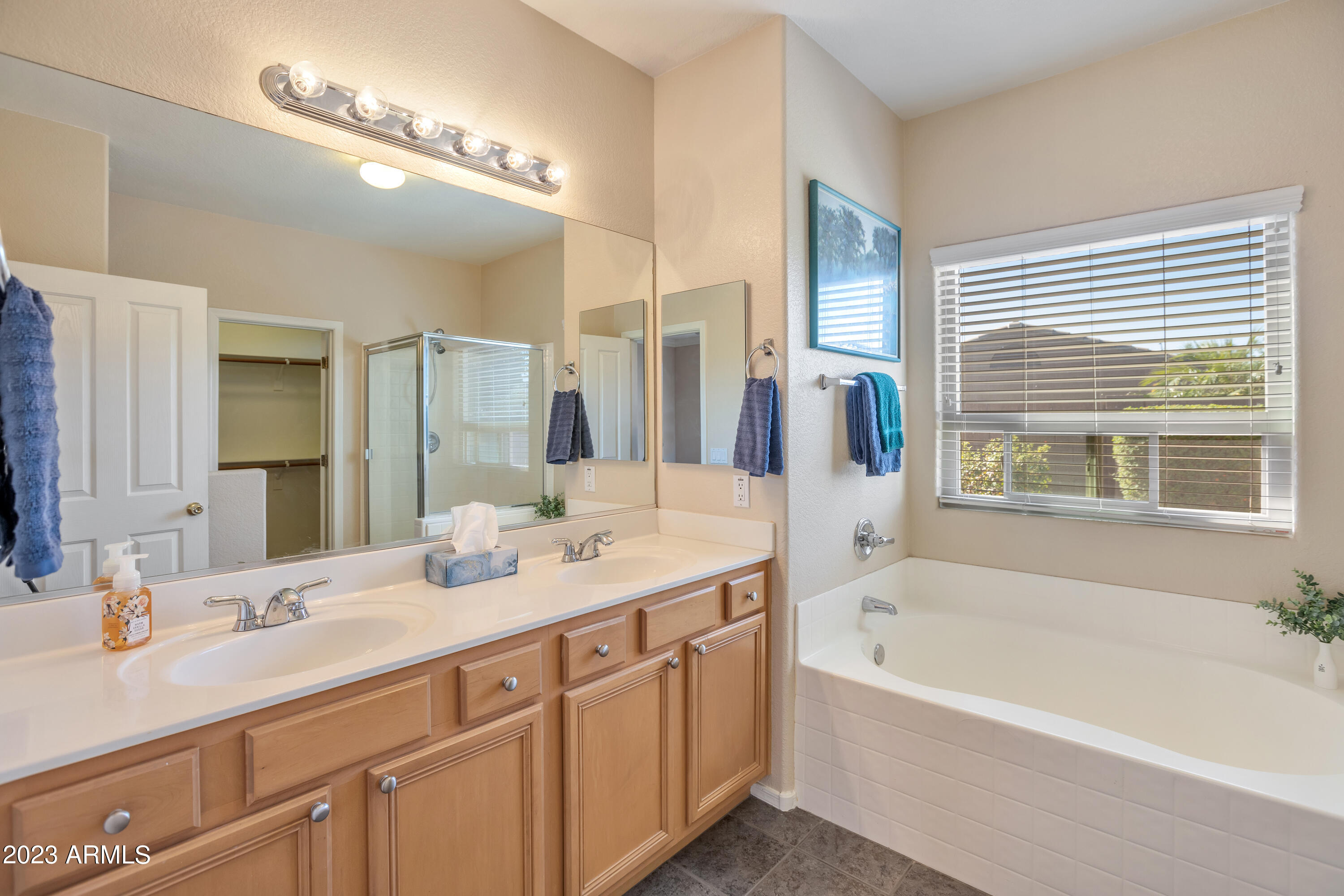 16051 W MAUNA LOA Lane
