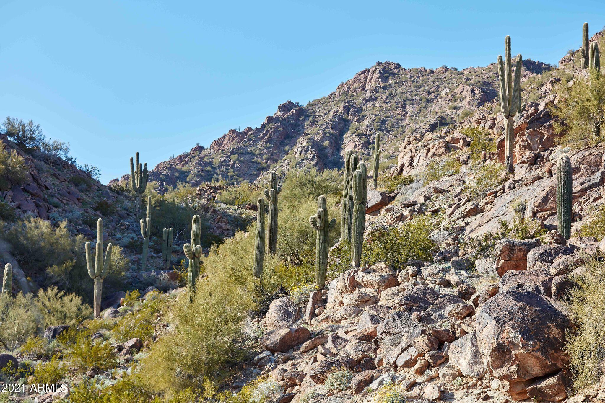 6301 E PHOENICIAN Boulevard Unit: 29