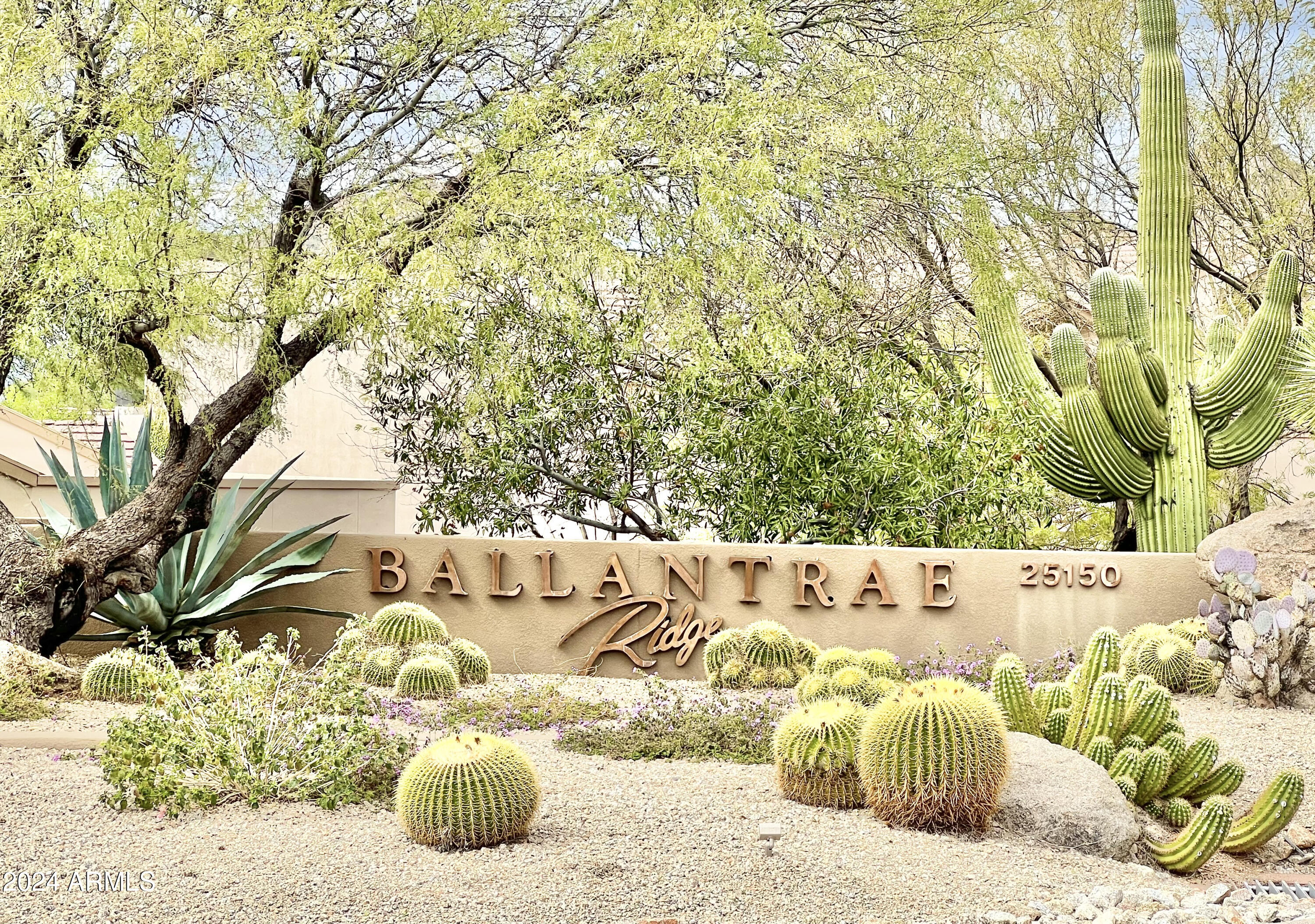 25150 N WINDY WALK Drive # 6