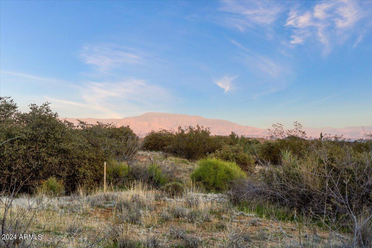 26413 N 119TH Street # 3