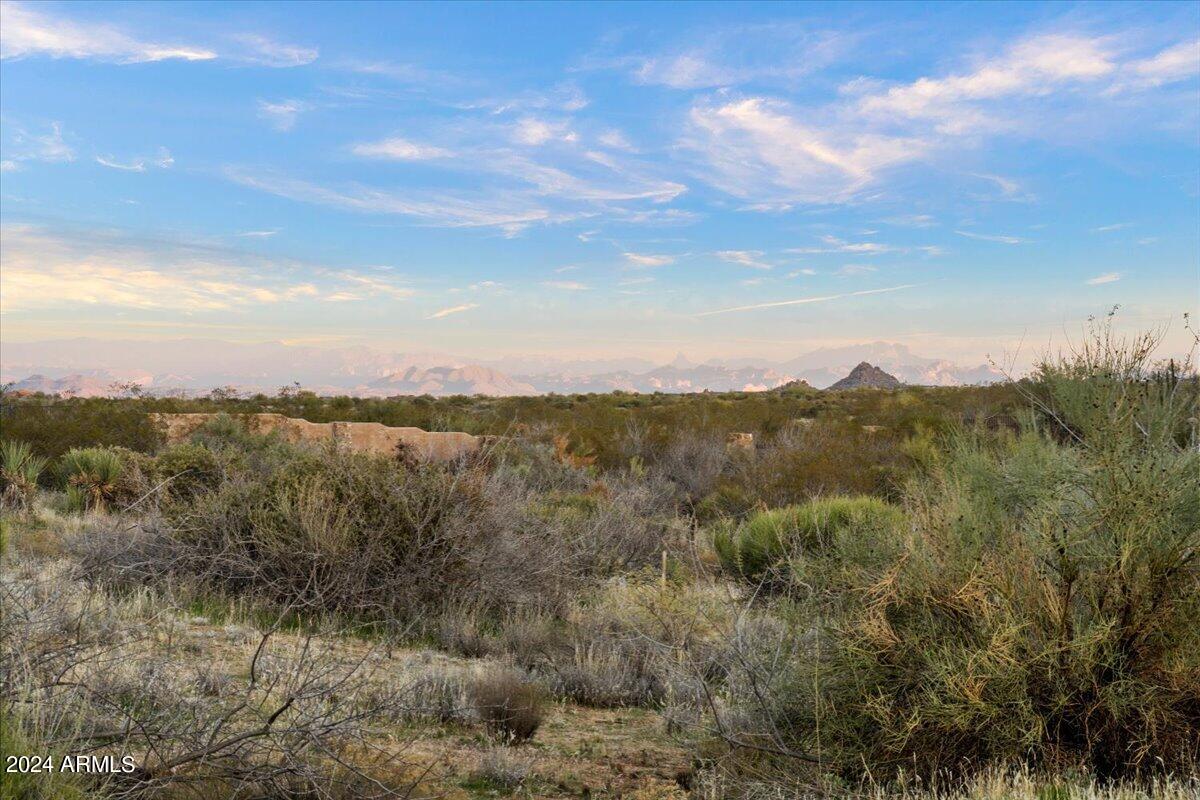 26413 N 119TH Street # 3