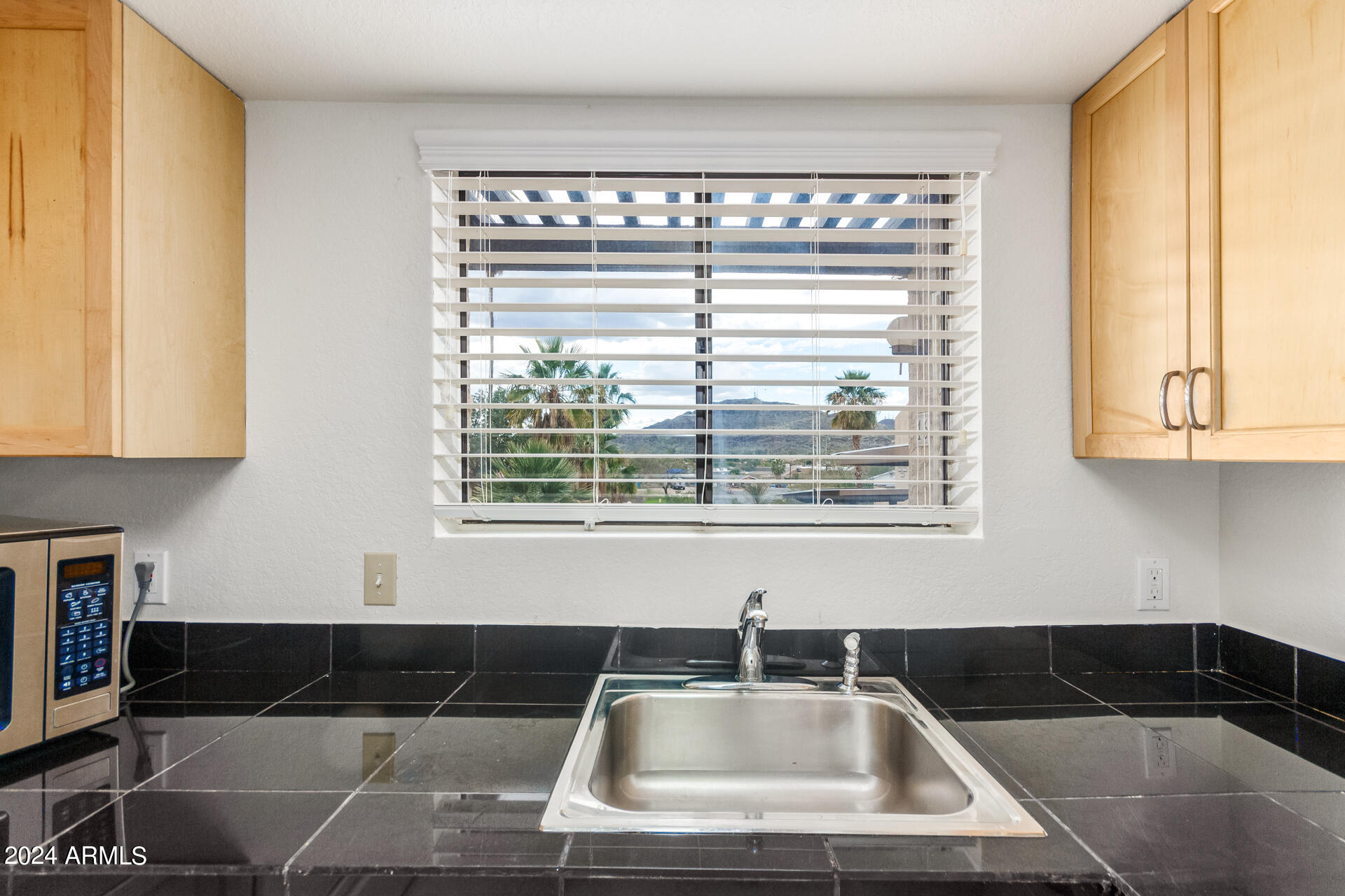 10631 N 15TH Way # 16