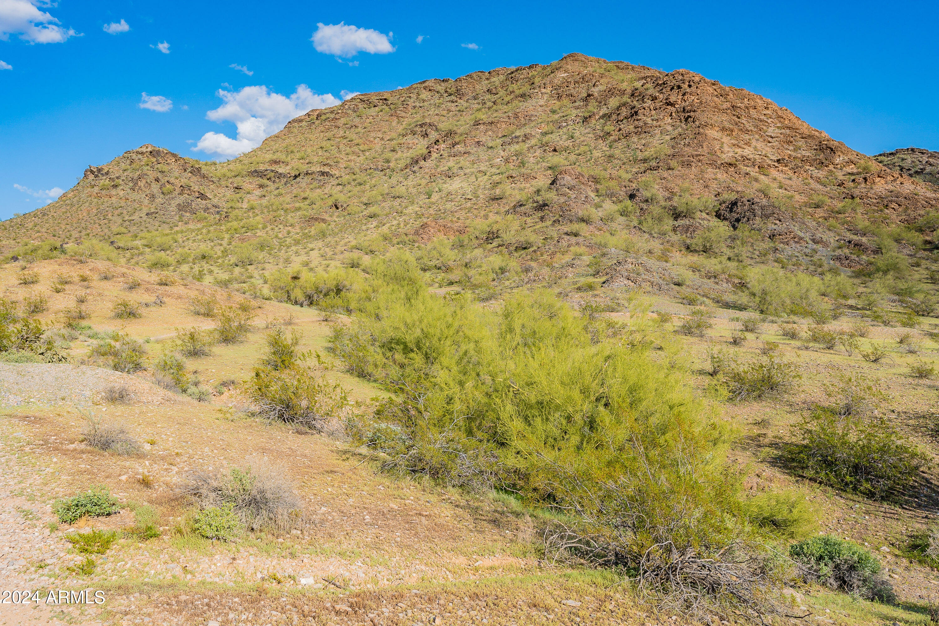 10631 N 15TH Way # 16