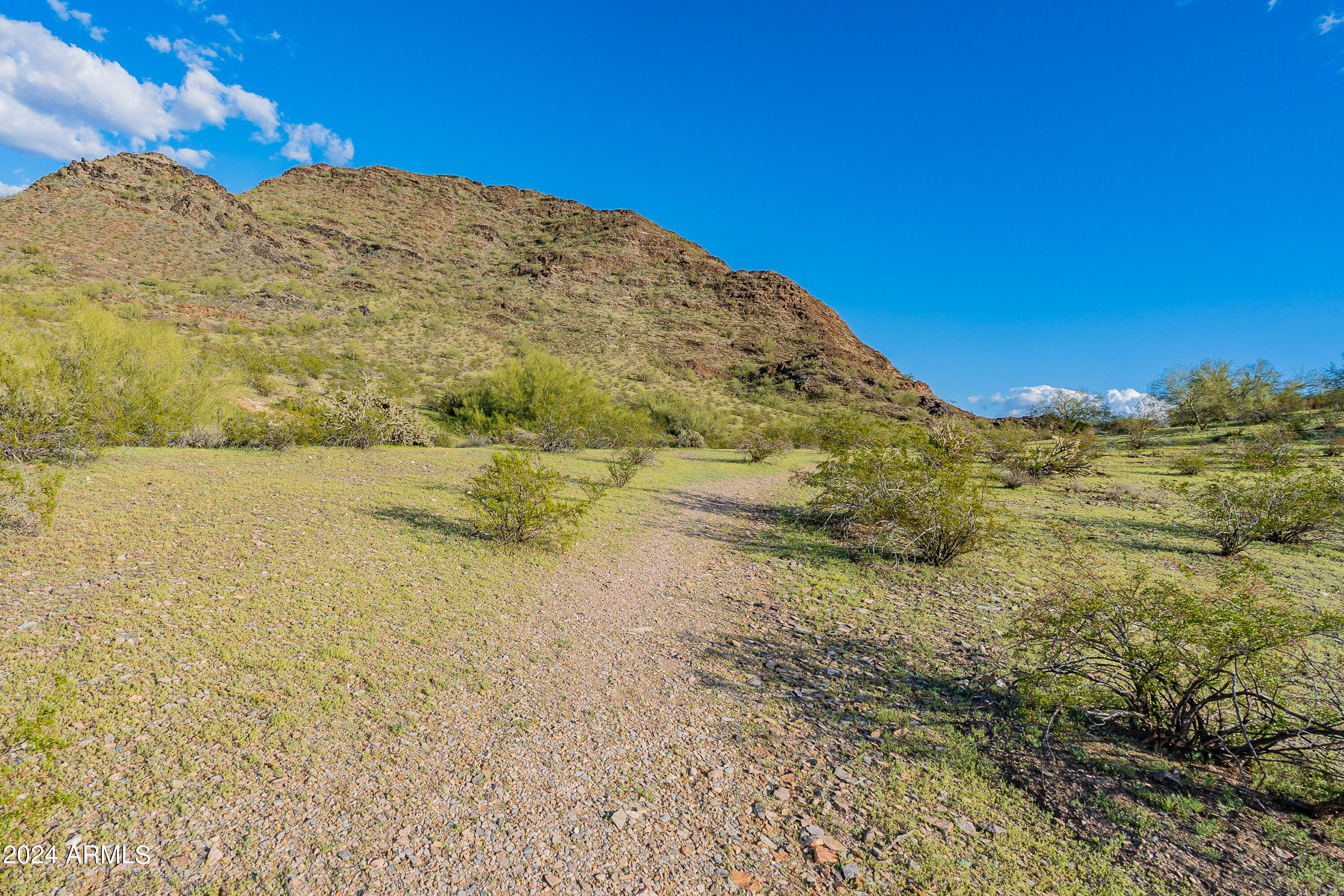 10631 N 15TH Way # 16