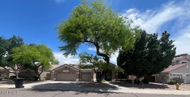 1503 S CHOLLA Street