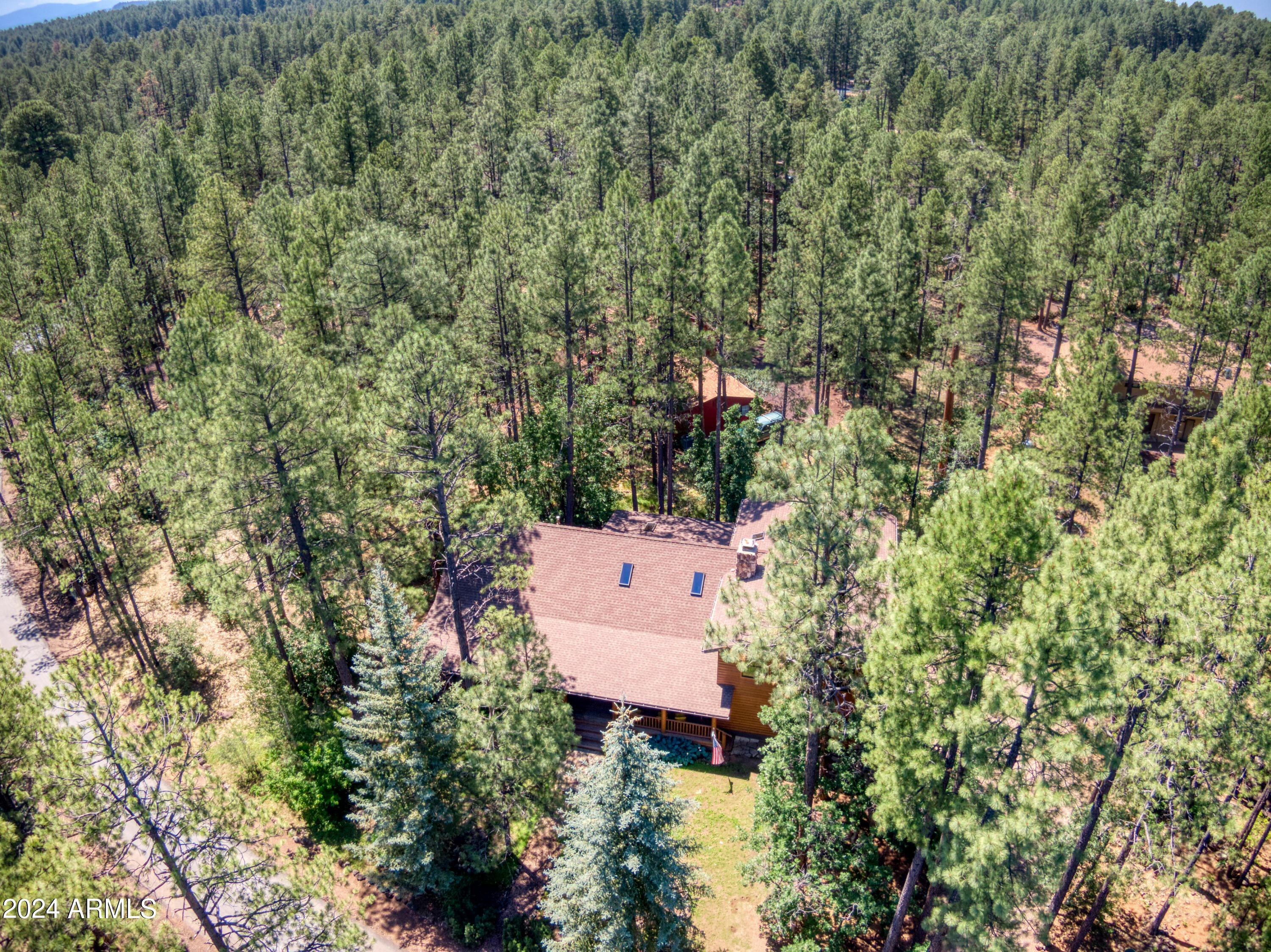 3272 BULL FROG Loop