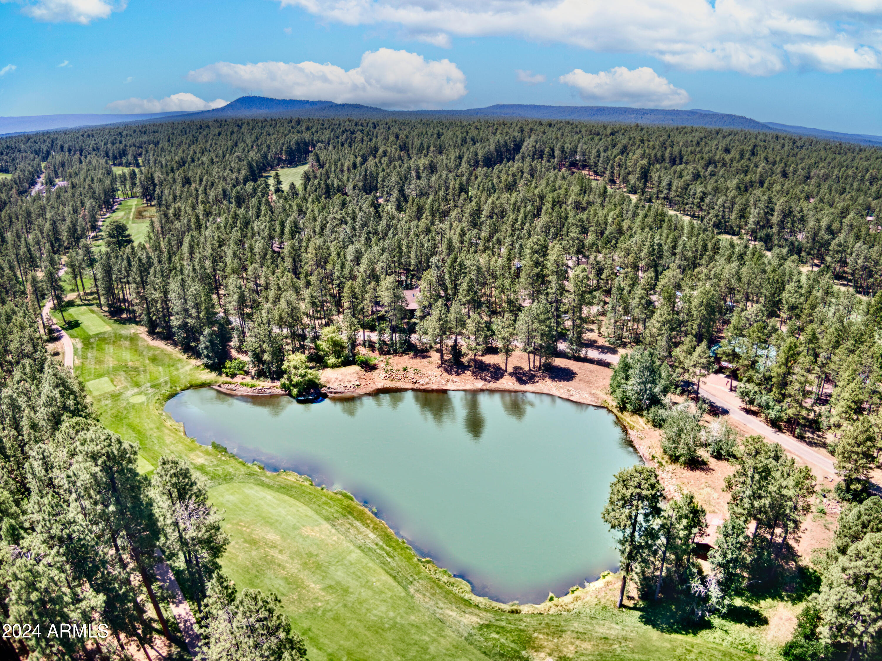 3272 BULL FROG Loop
