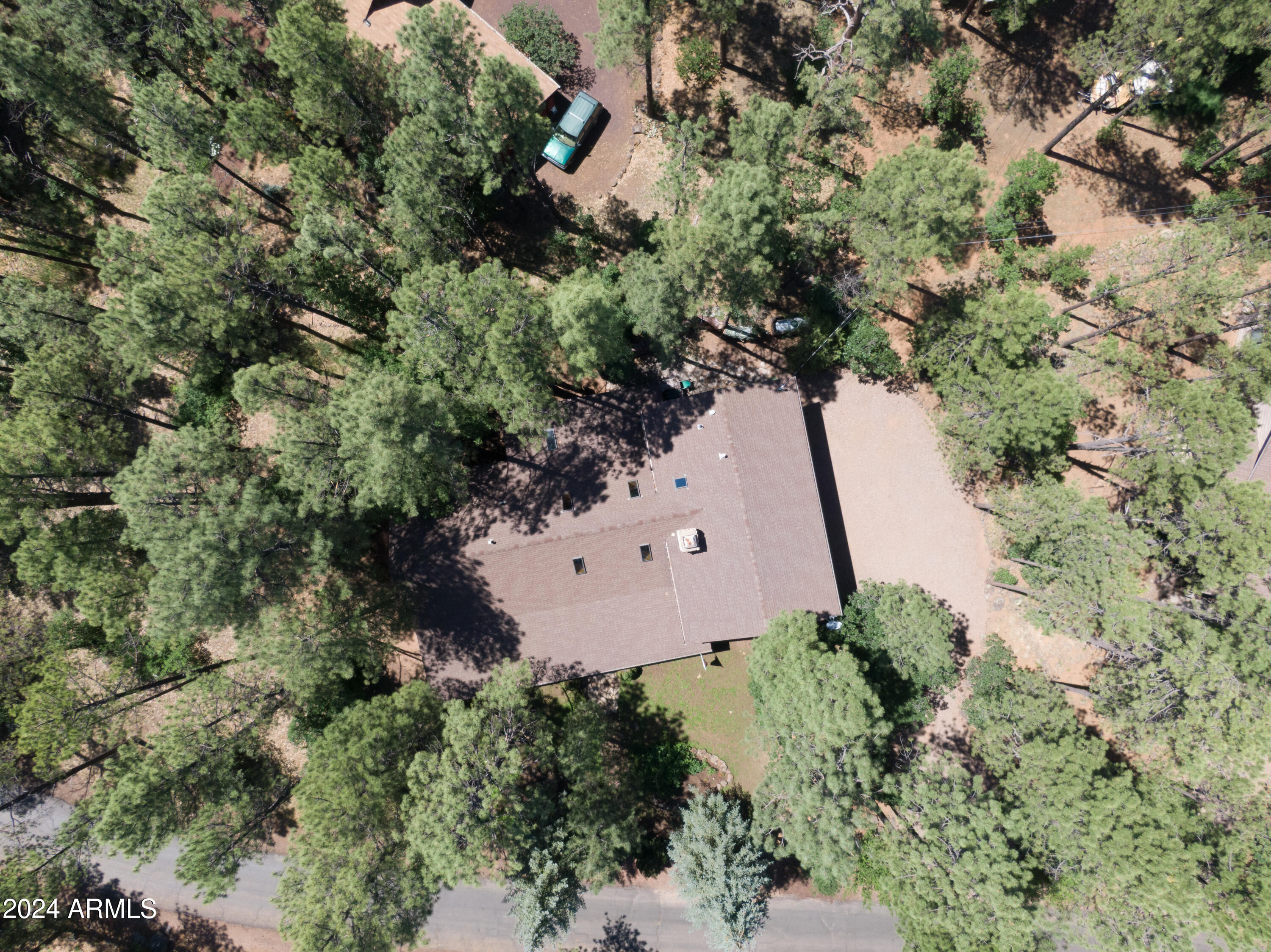 3272 BULL FROG Loop