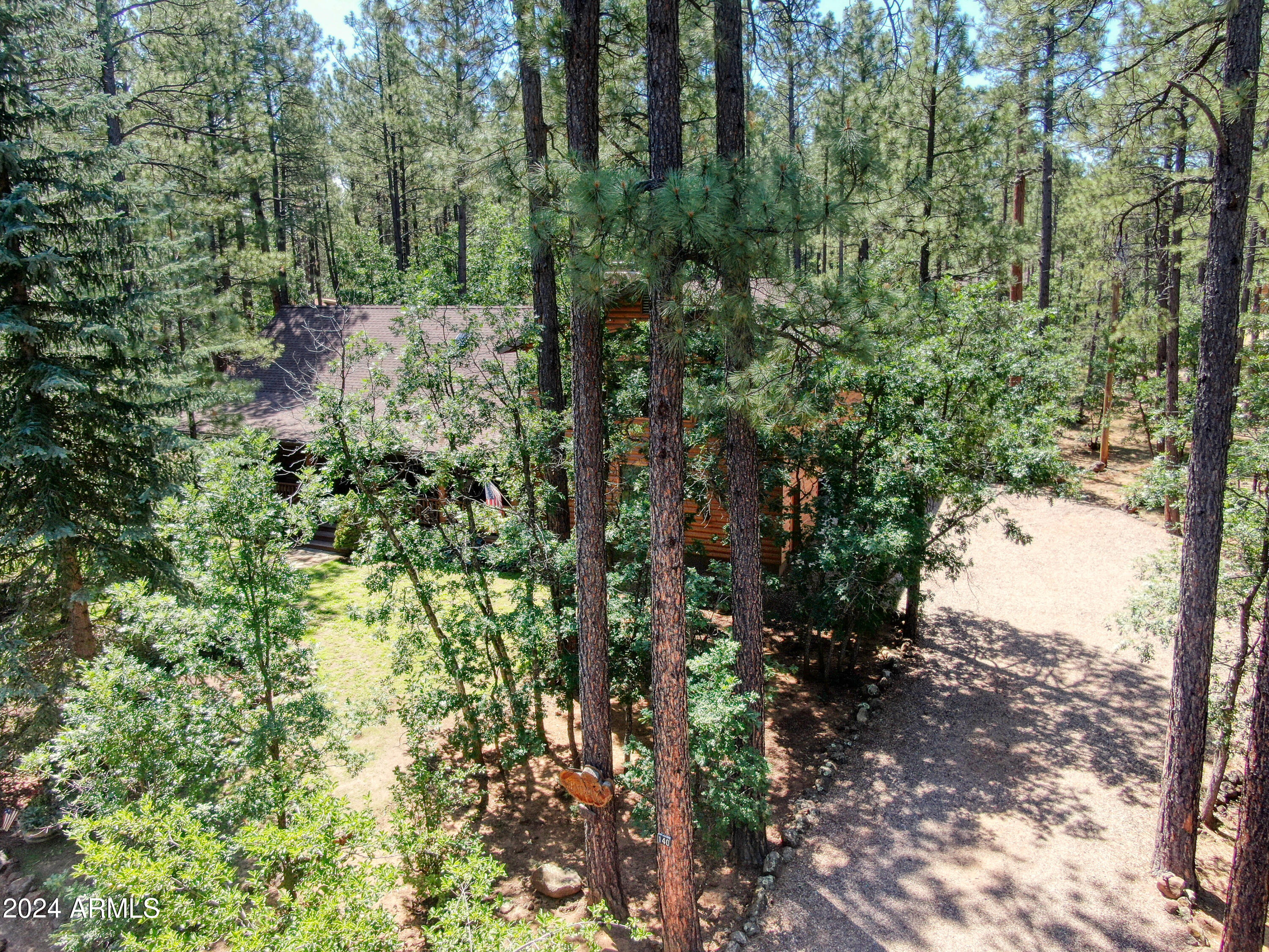 3272 BULL FROG Loop