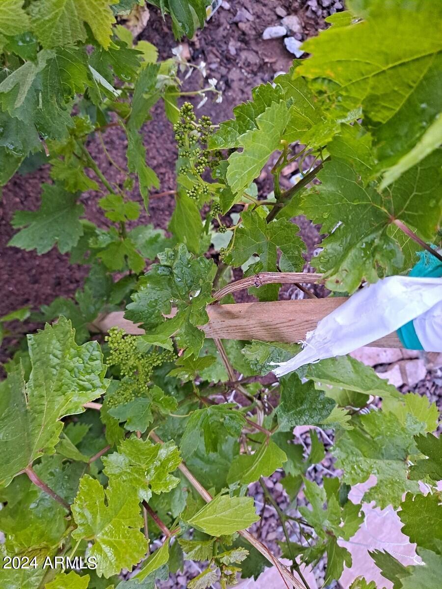 44973 W SANDHILL Road