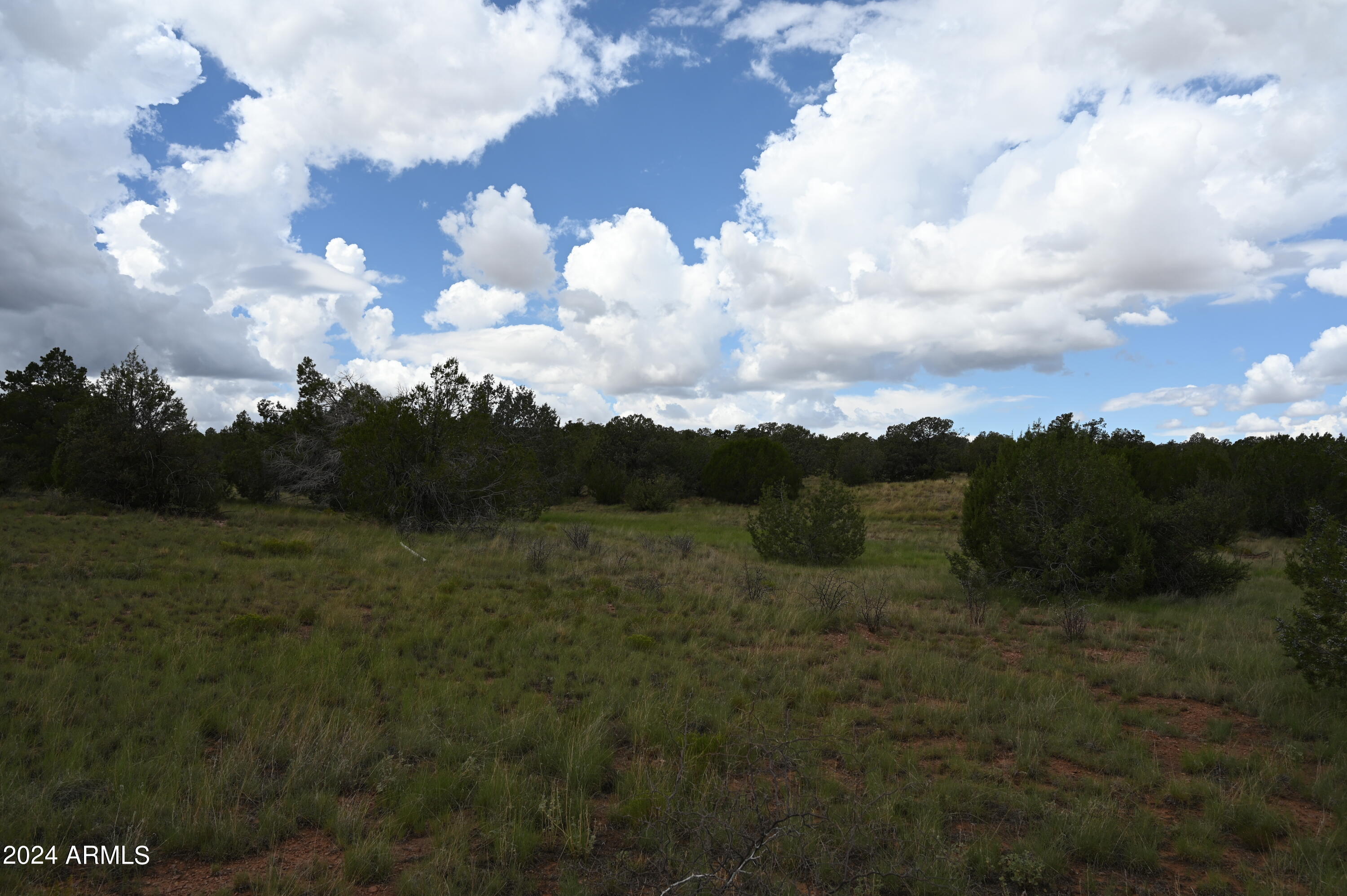64550 N Flaming Star Drive # 385