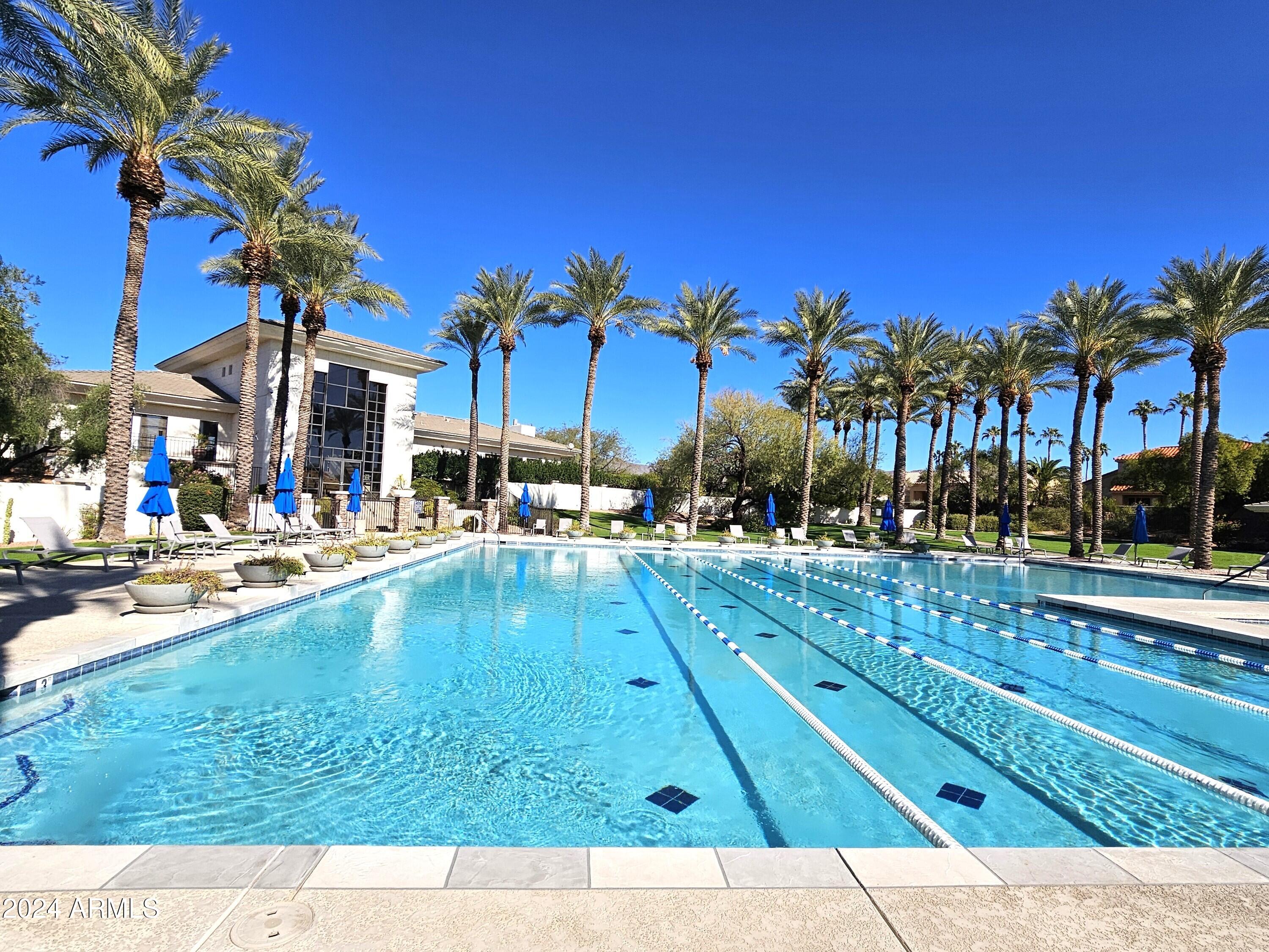 11430 E PALOMINO Road